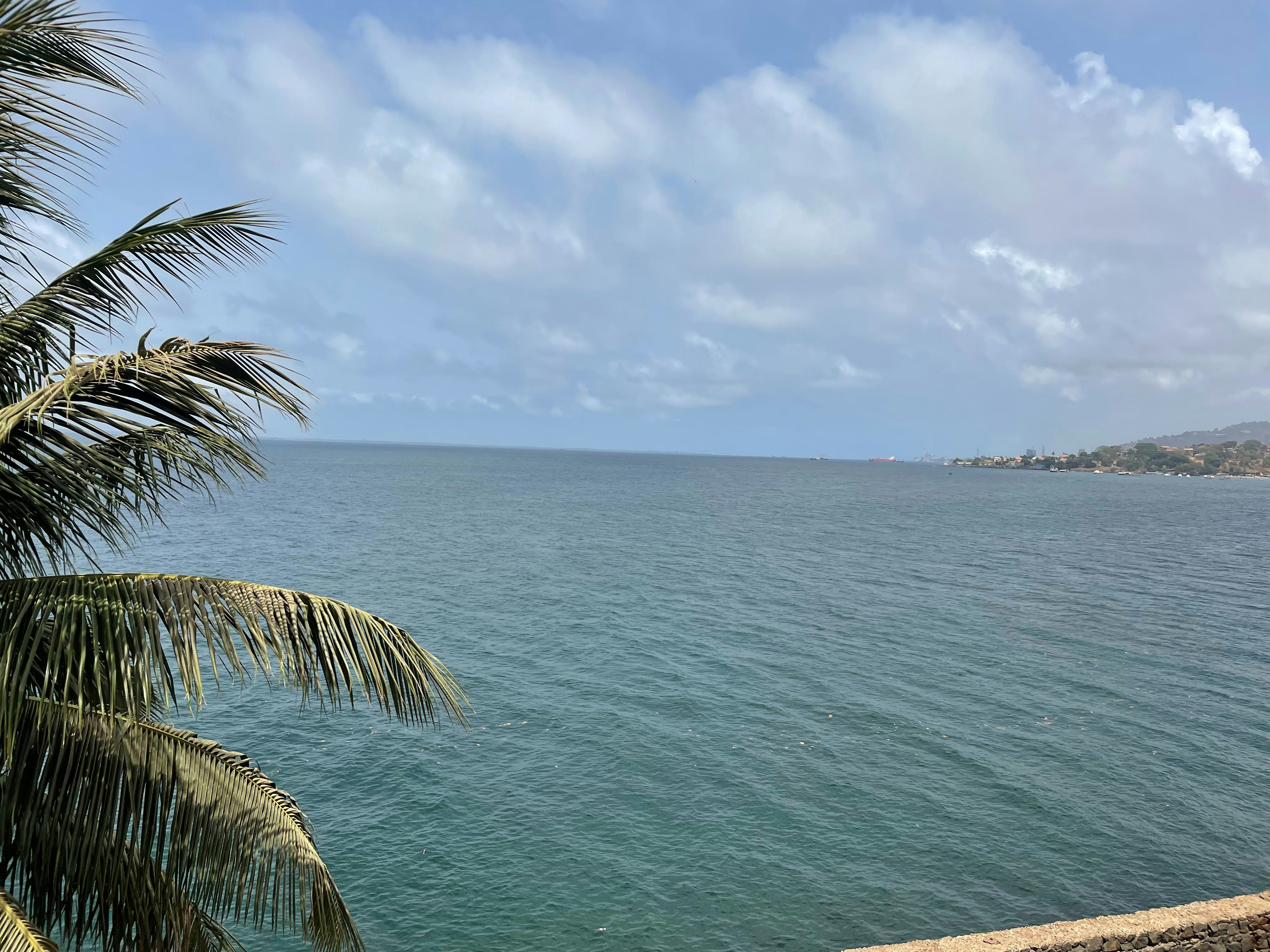 Photo by muhammad_bah