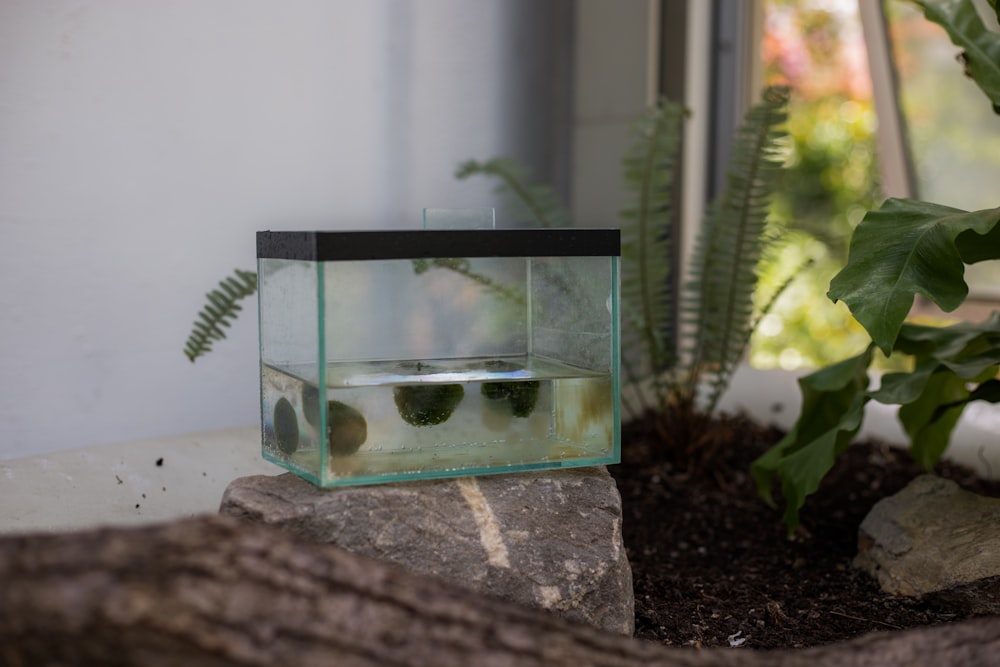 a small glass box with rocks inside of it