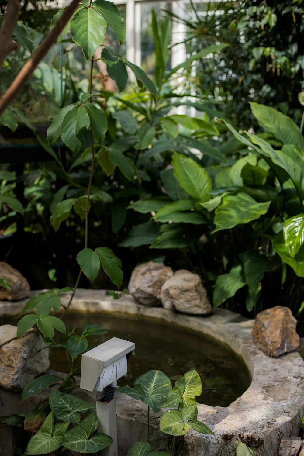 a bird bath surrounded by plants and rocks