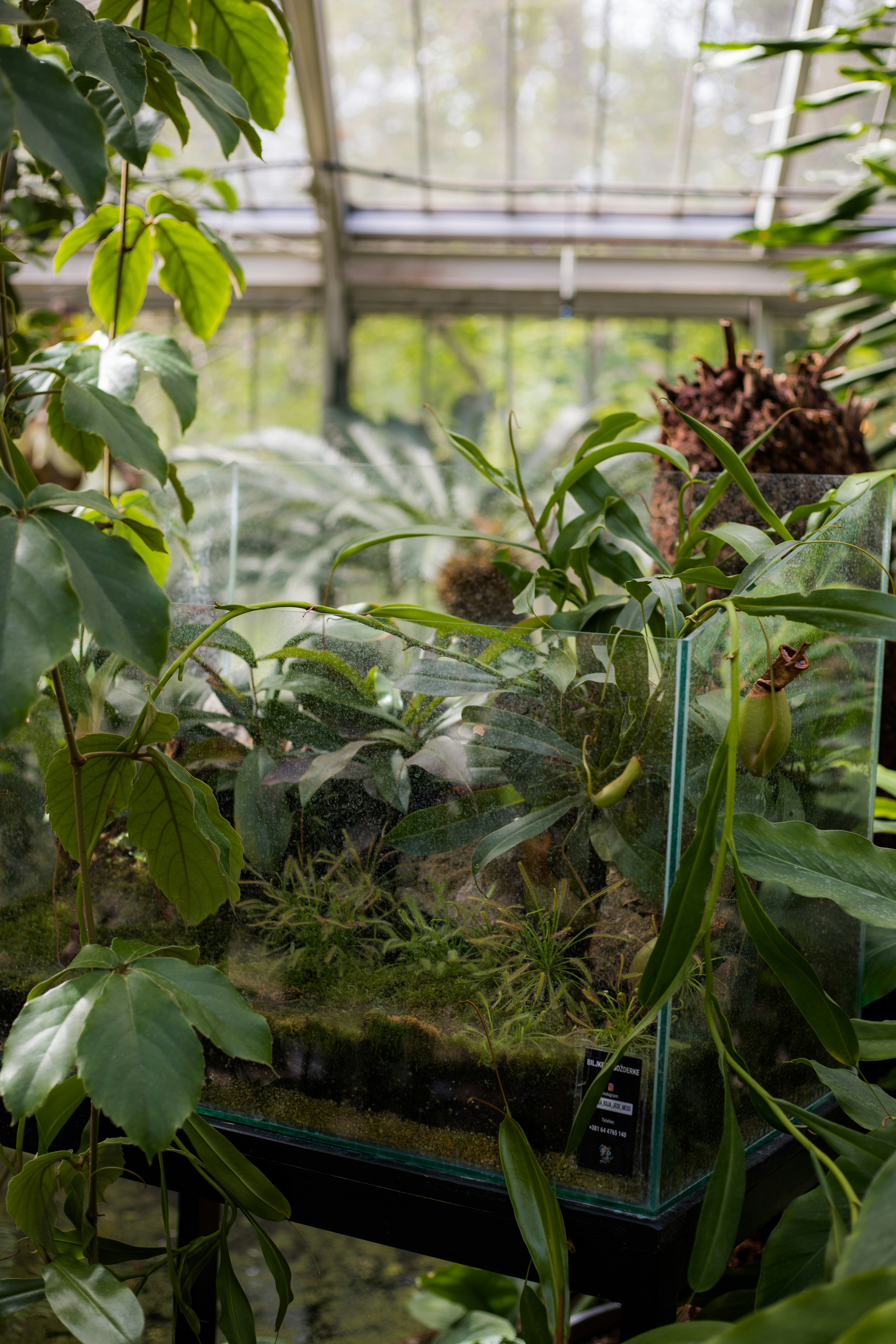 Photo by jovanvasiljevic