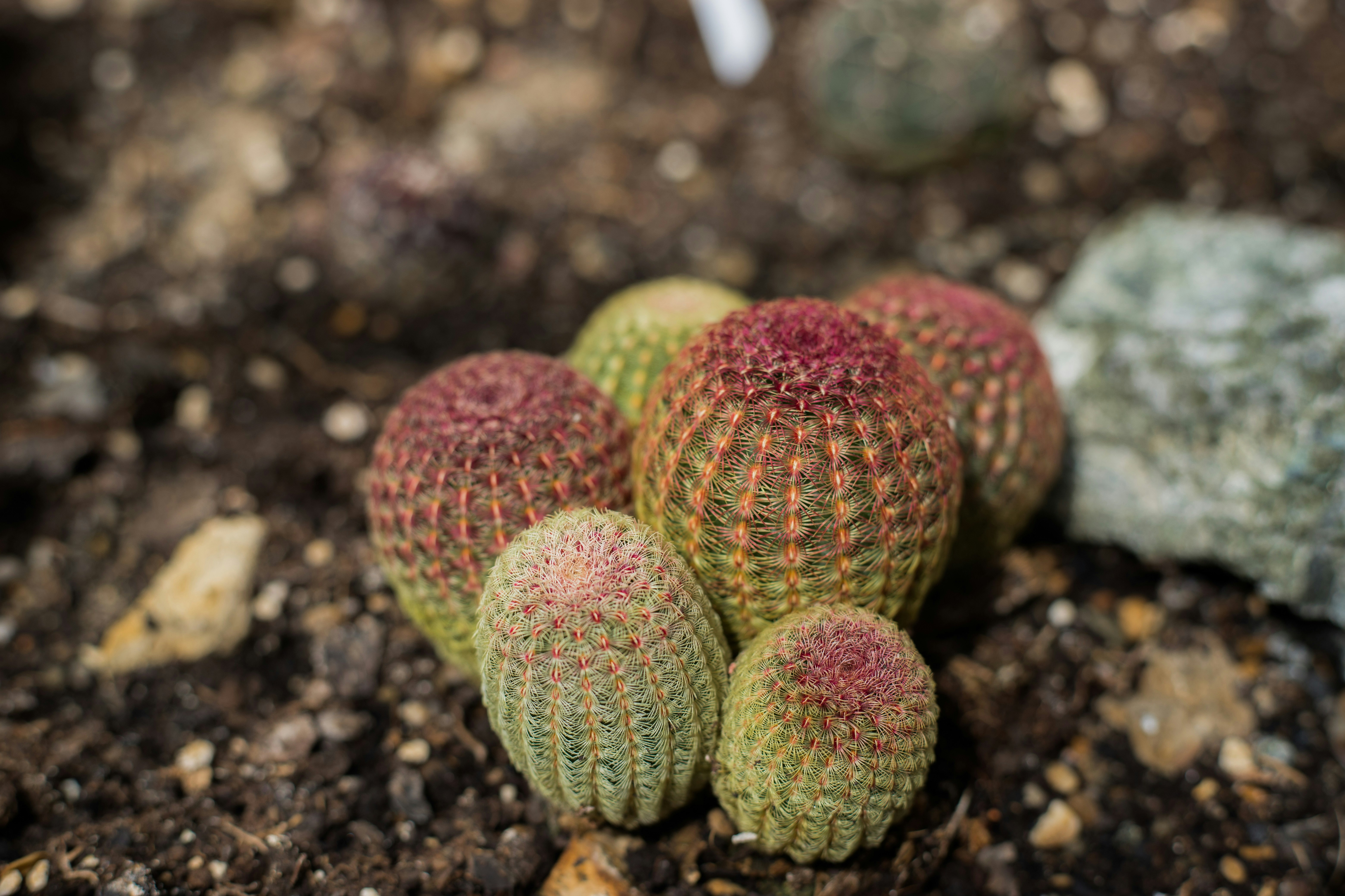 Photo by jovanvasiljevic