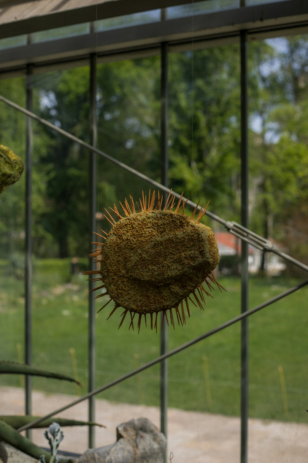 a close up of a plant near a fence