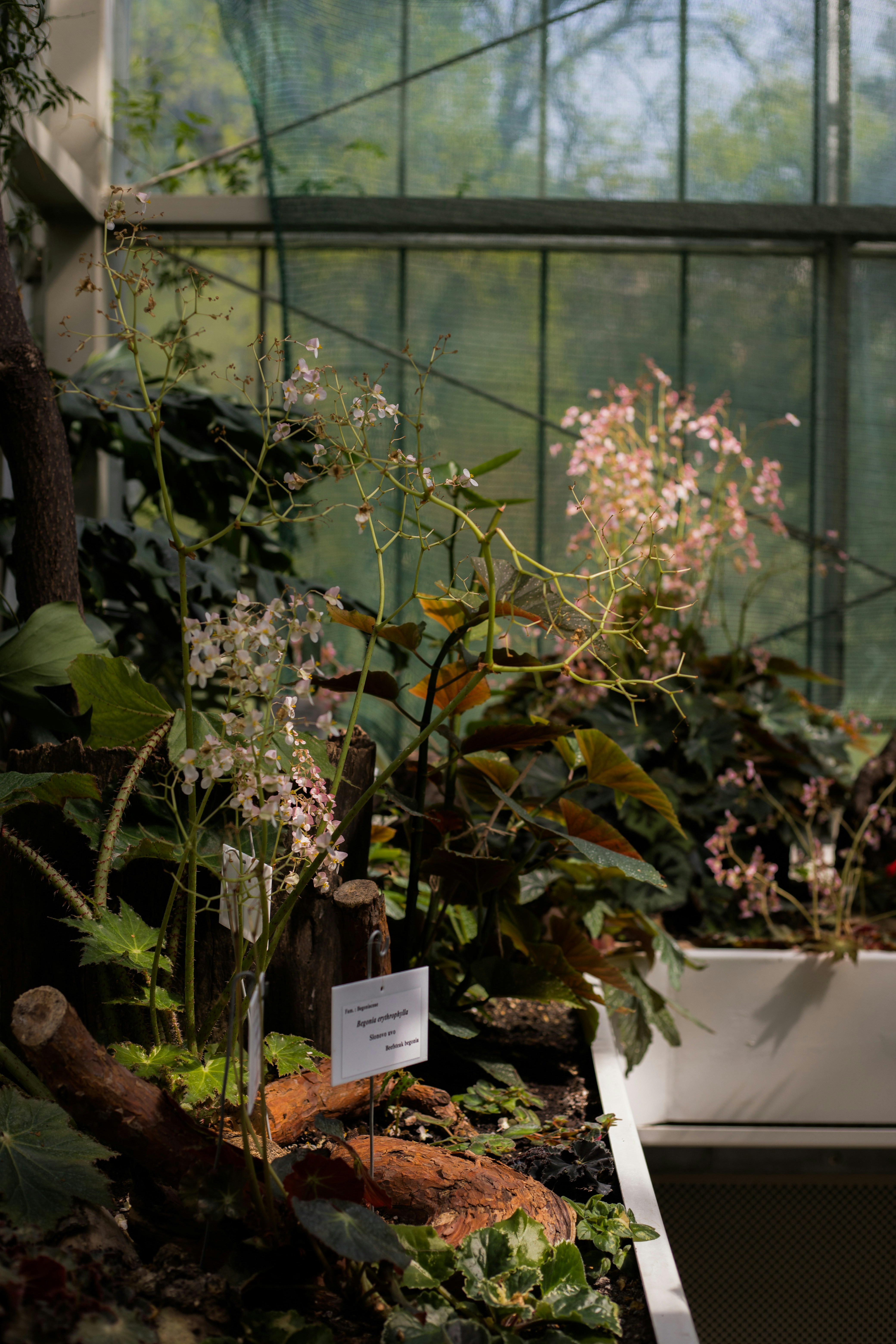 Photo by jovanvasiljevic