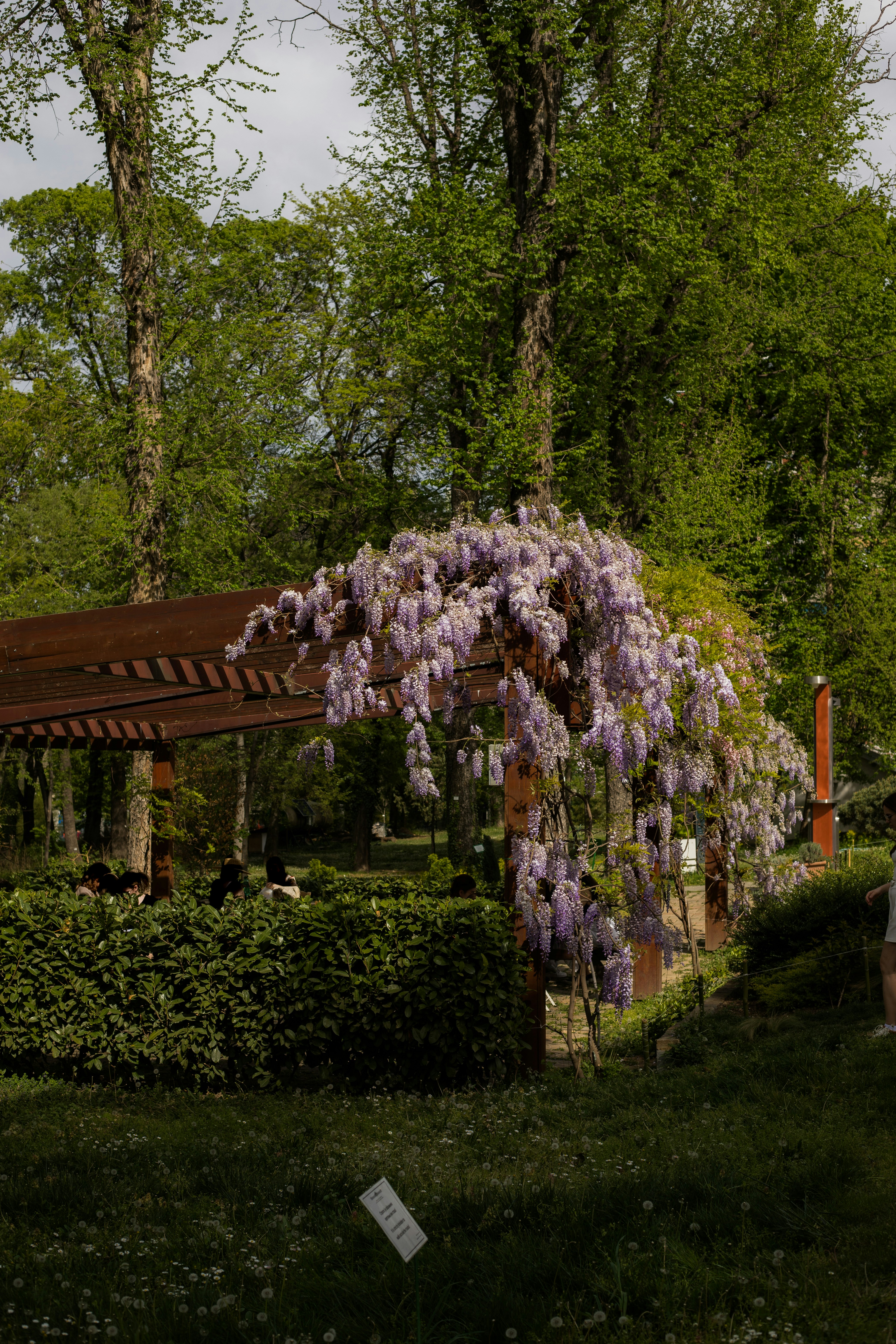 Photo by jovanvasiljevic
