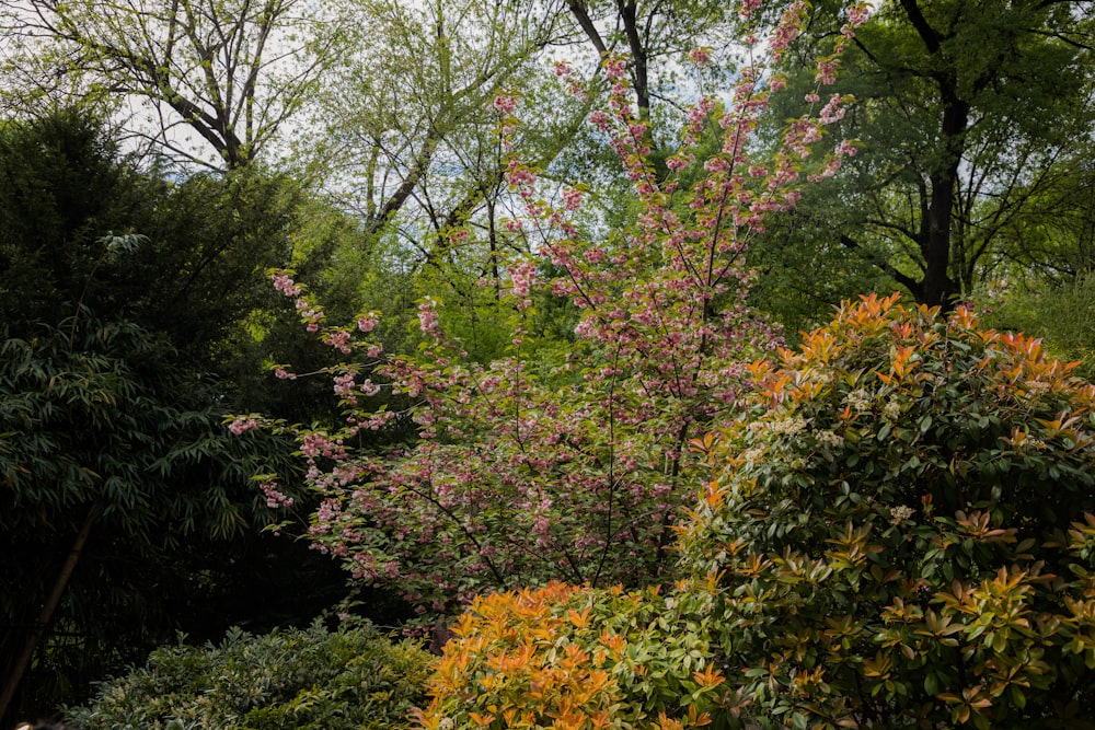 a group of trees that are next to each other