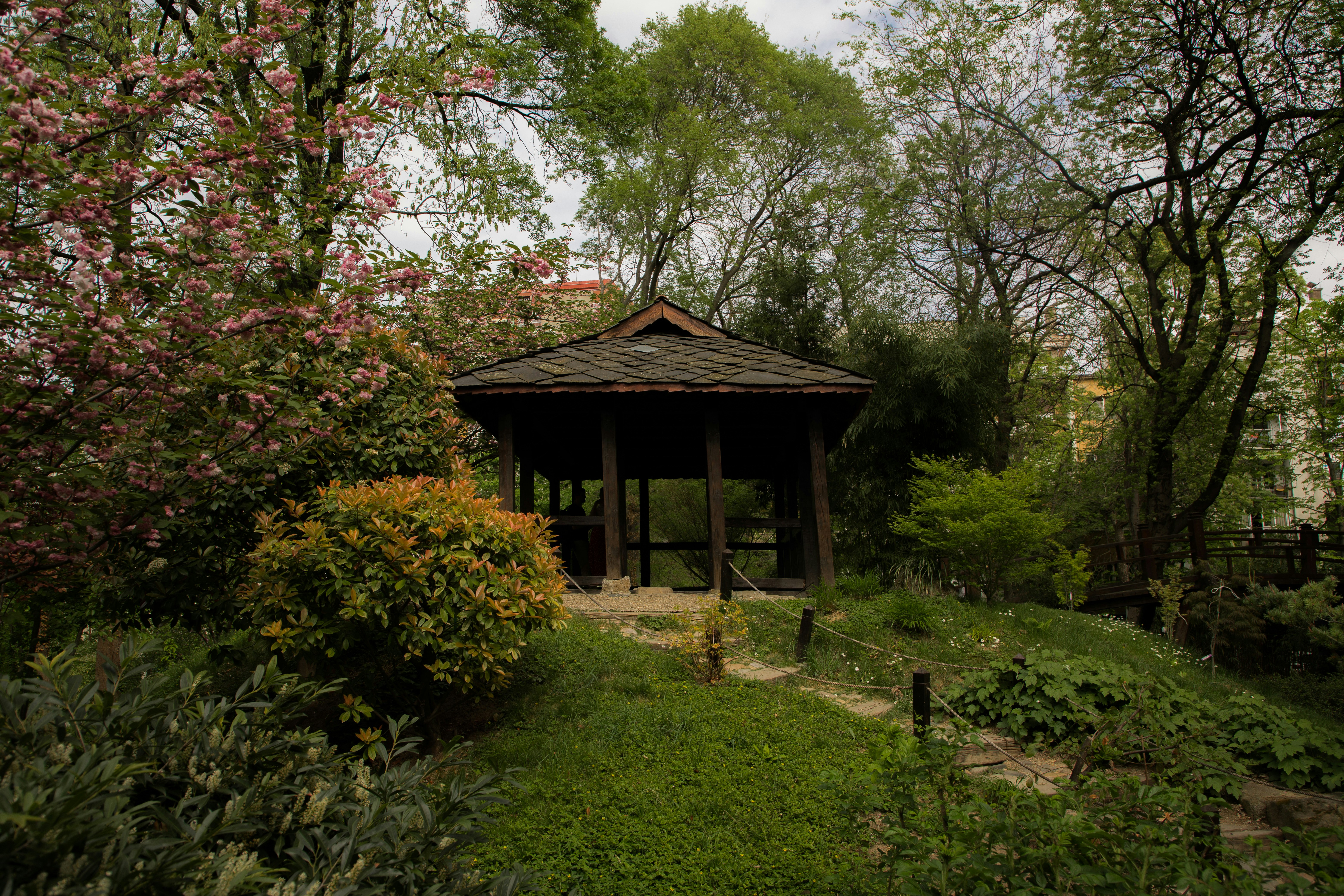 Photo by jovanvasiljevic