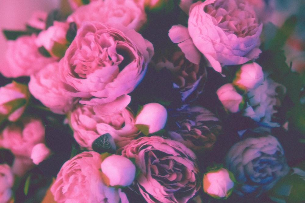 a bunch of pink flowers sitting on top of a table