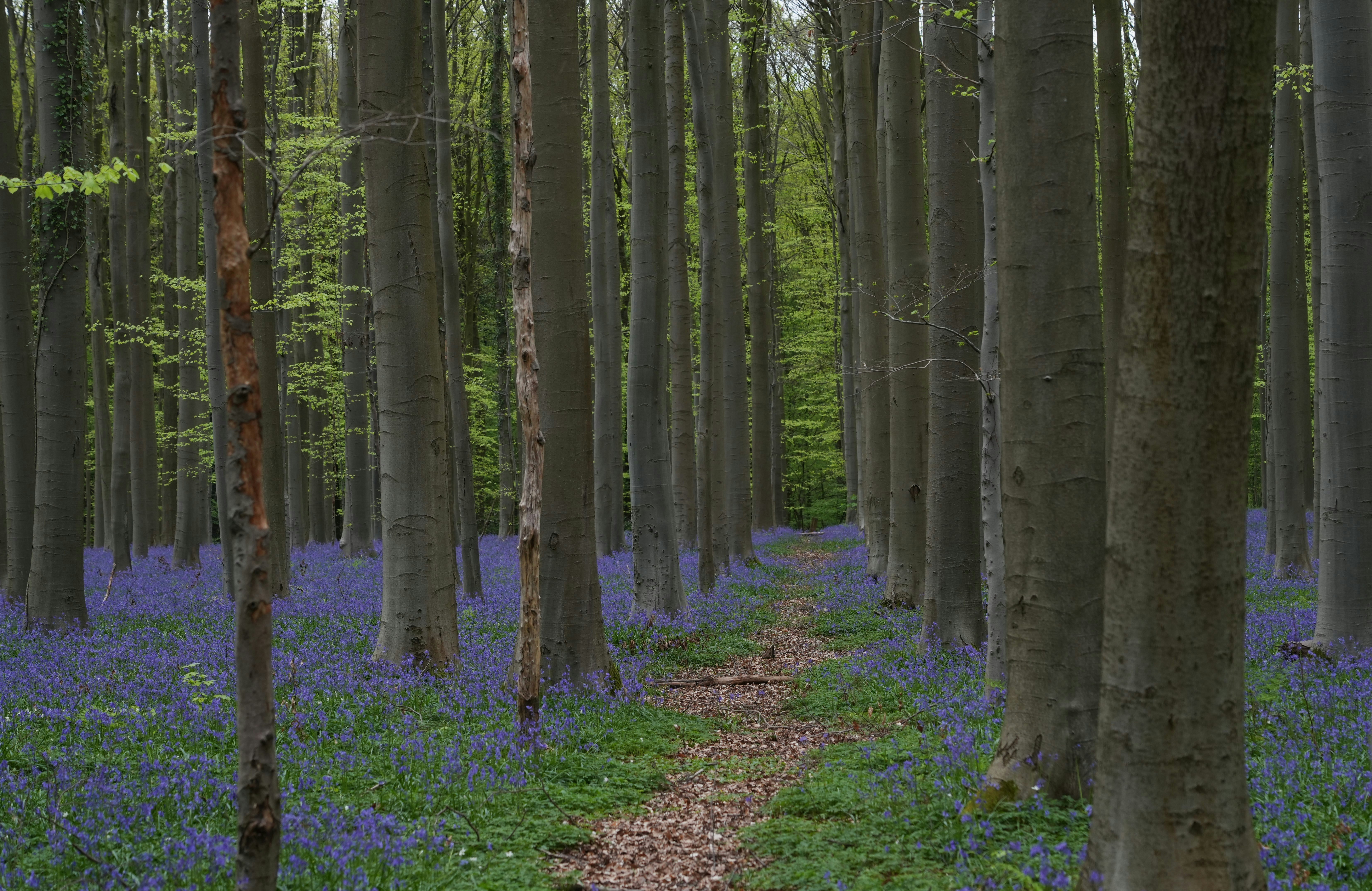 Photo by ievabrinkmane