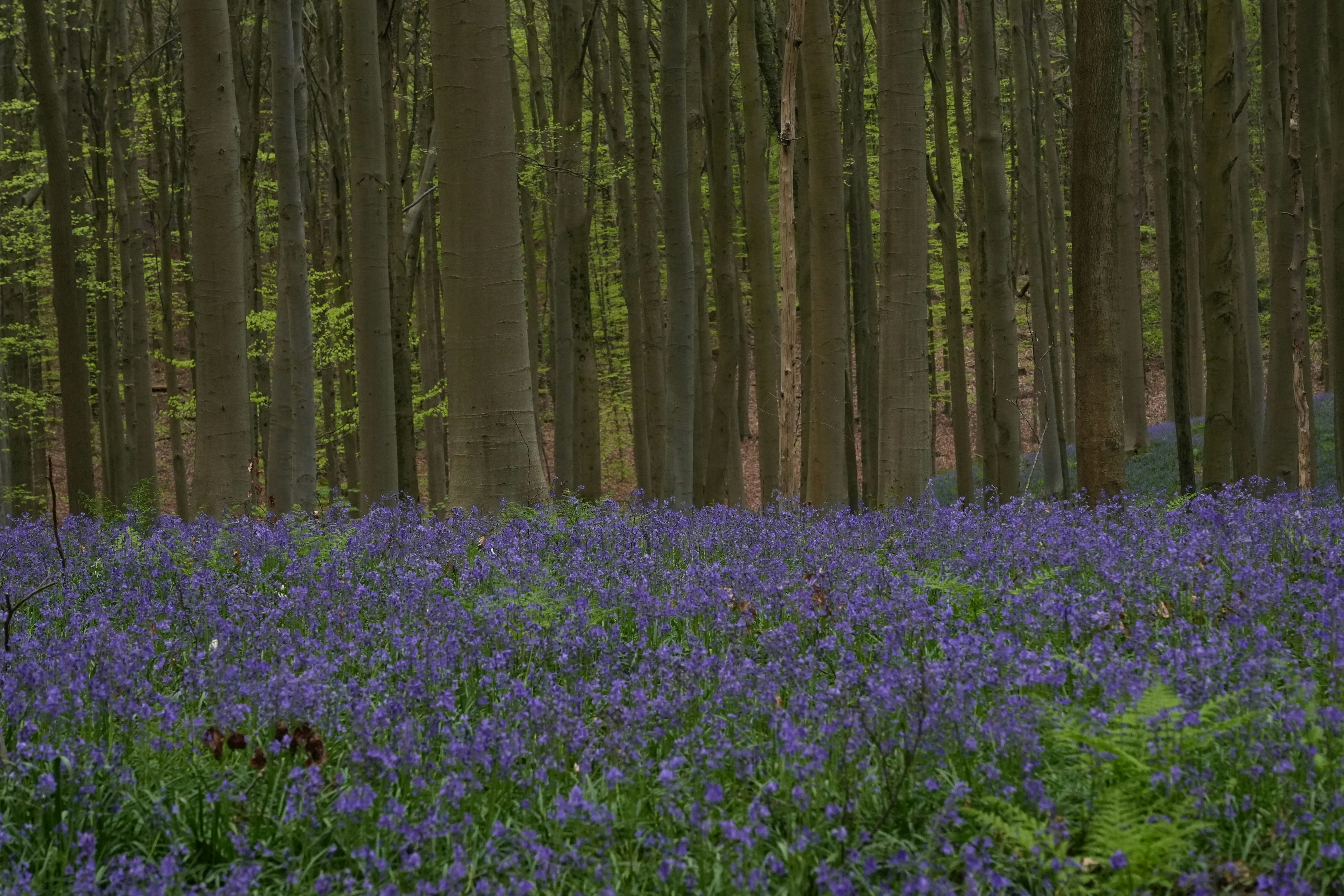 Photo by ievabrinkmane