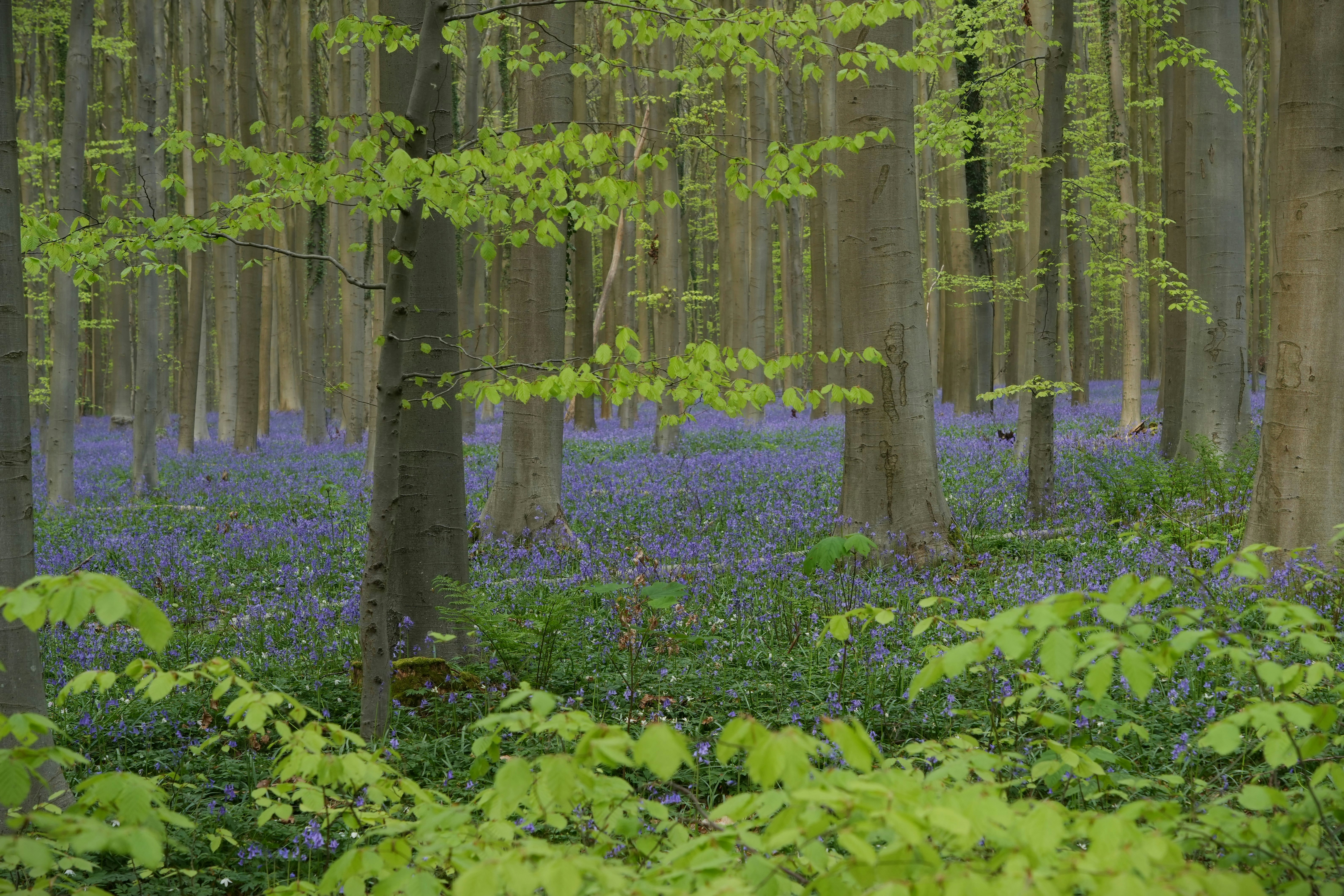 Photo by ievabrinkmane