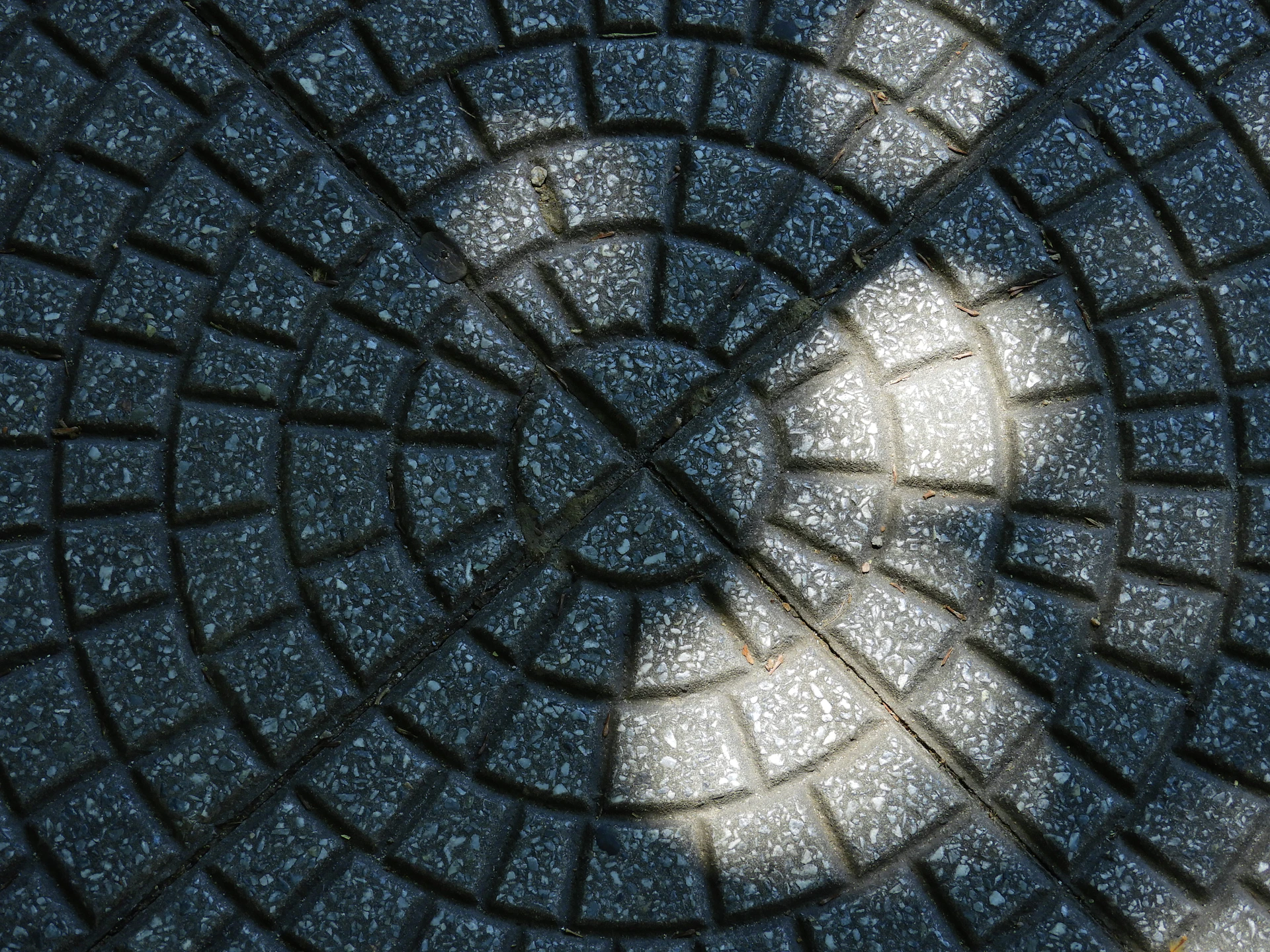 a black and white photo of a circular design