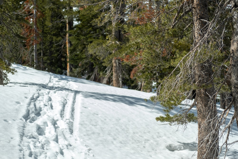 a man riding a snowboard down a snow covered slope