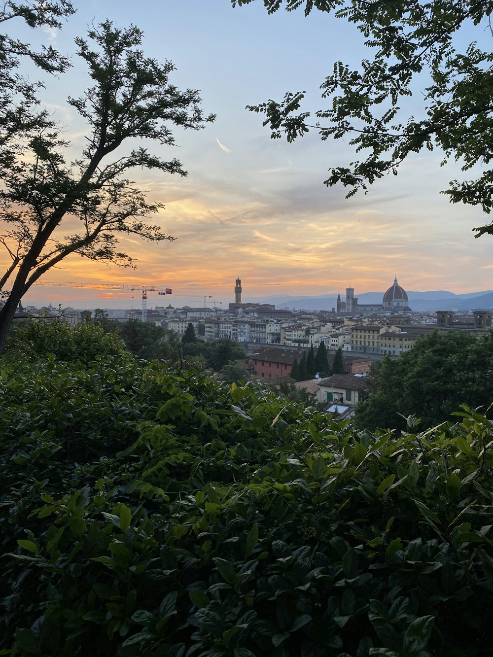 a view of a city from the top of a hill