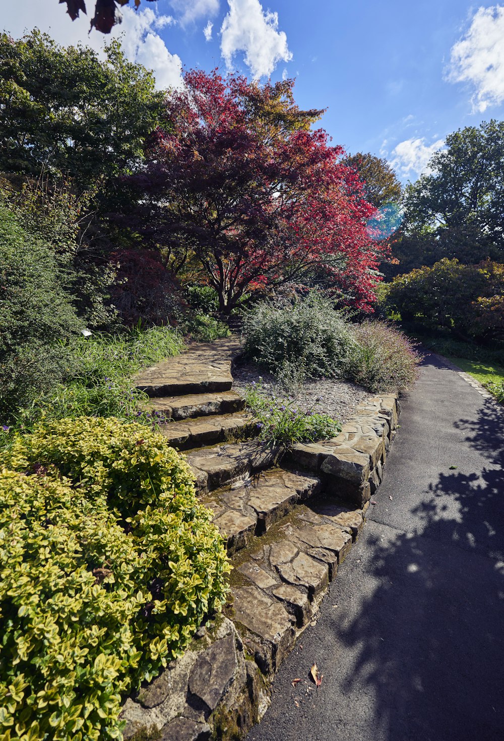 a stone path with steps leading up to trees