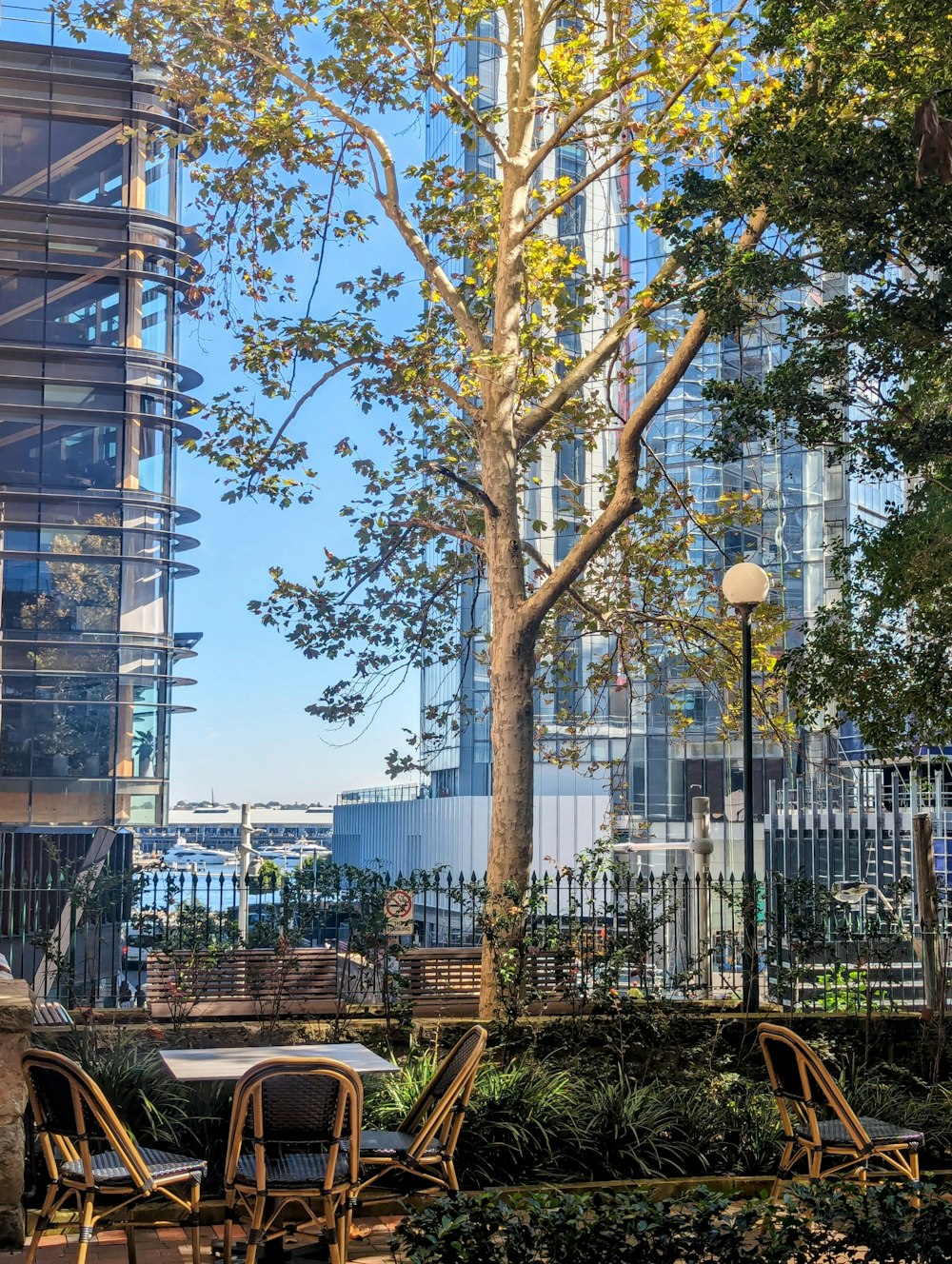 a group of wooden chairs sitting next to a tree