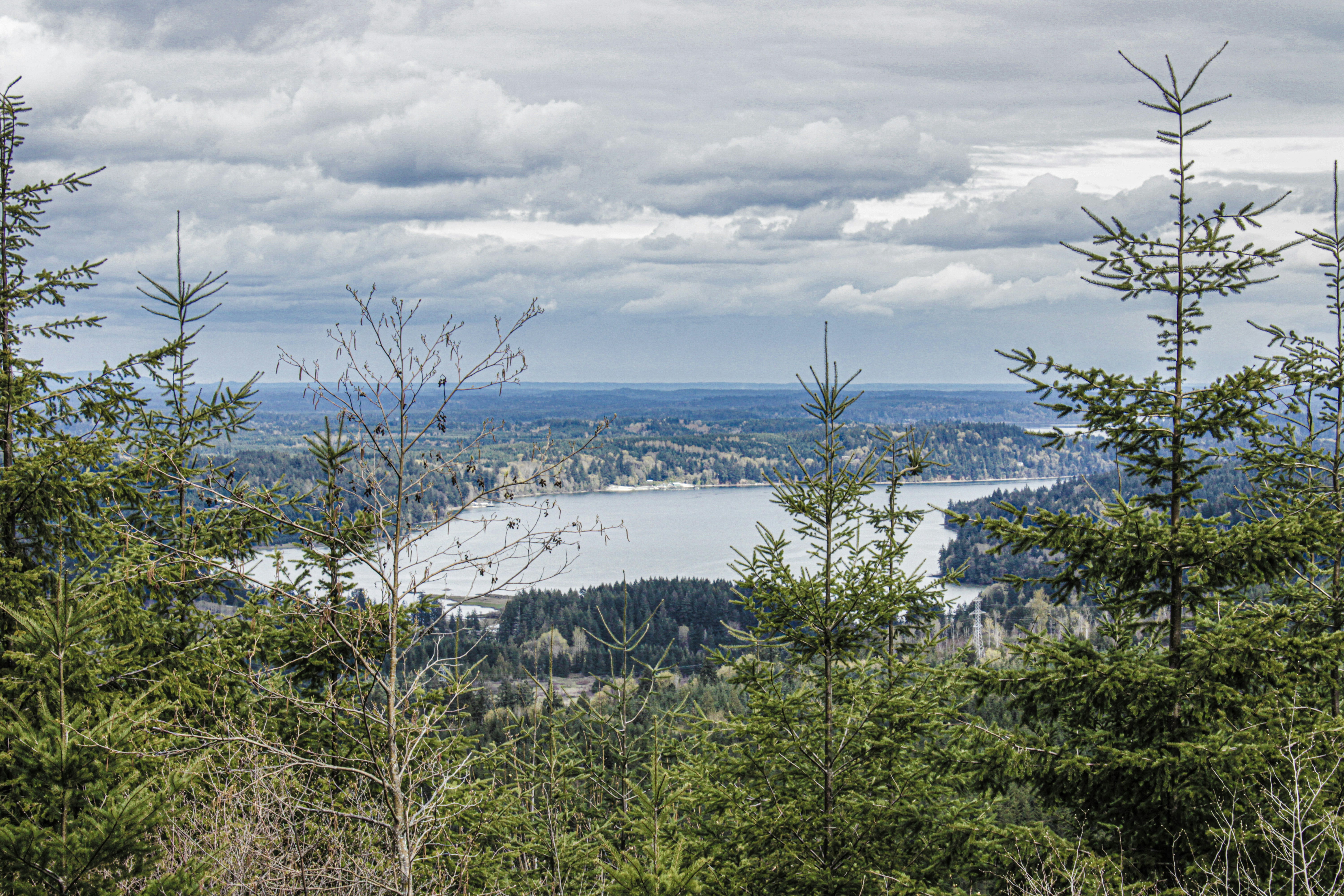 a view of a lake through some trees