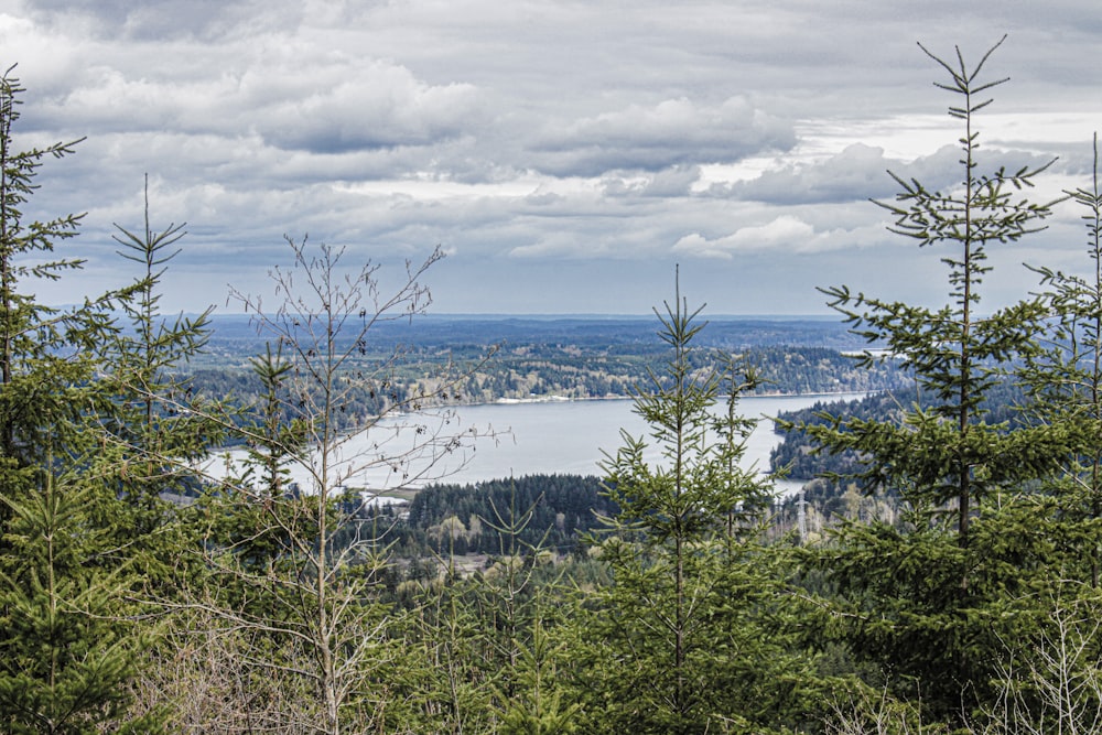 a view of a lake through some trees