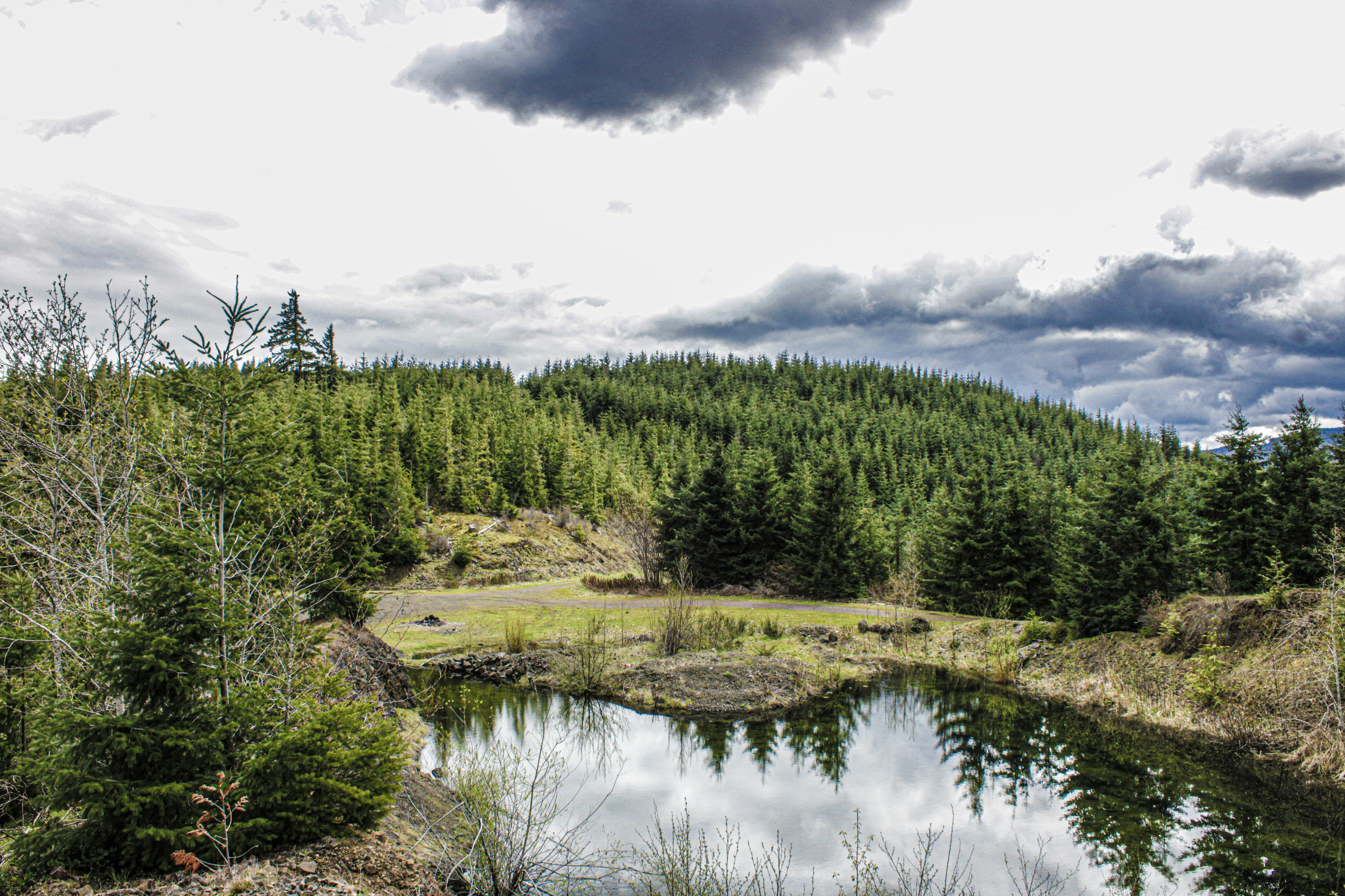 Photo by prphotography262