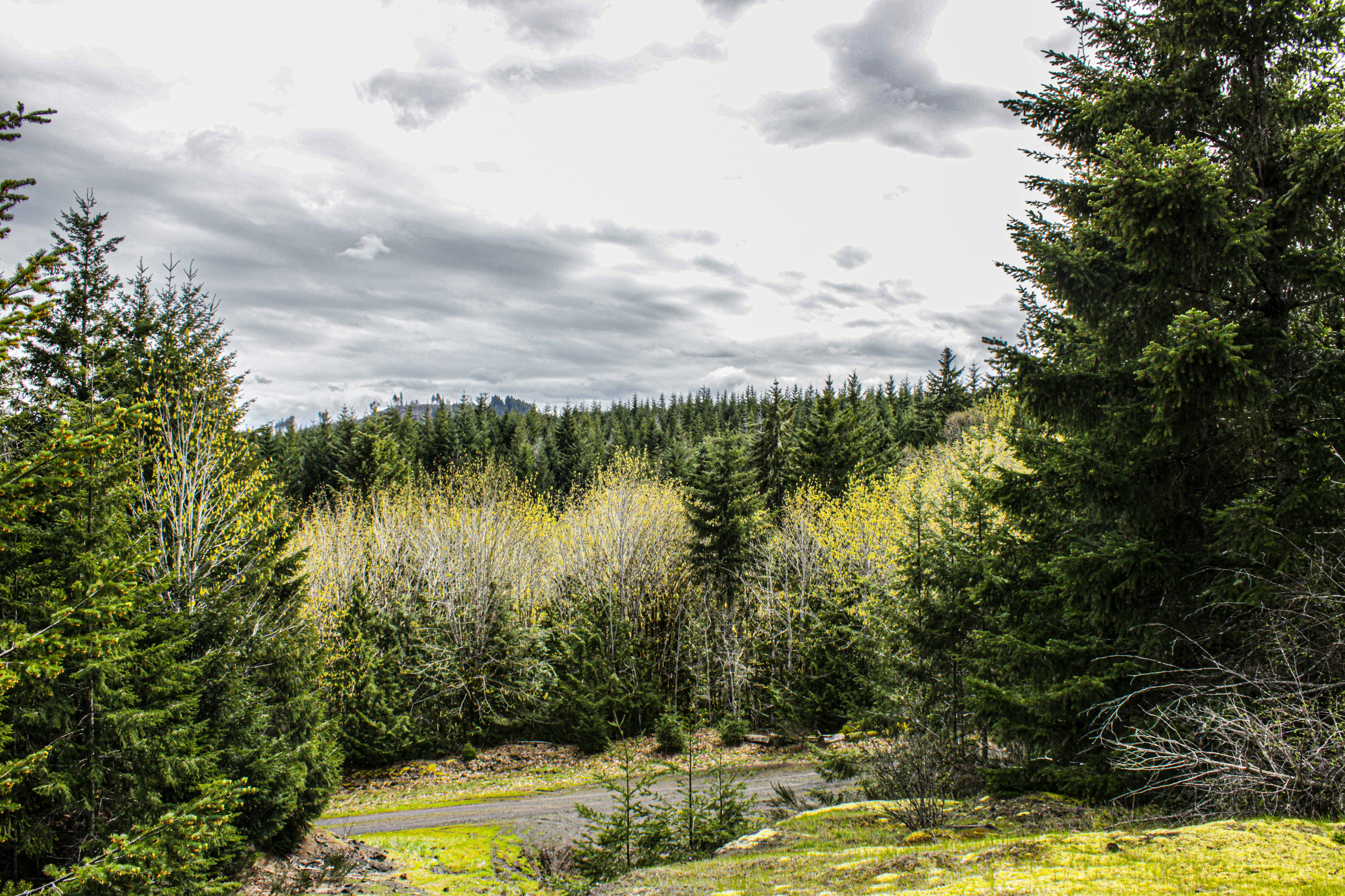 Photo by prphotography262