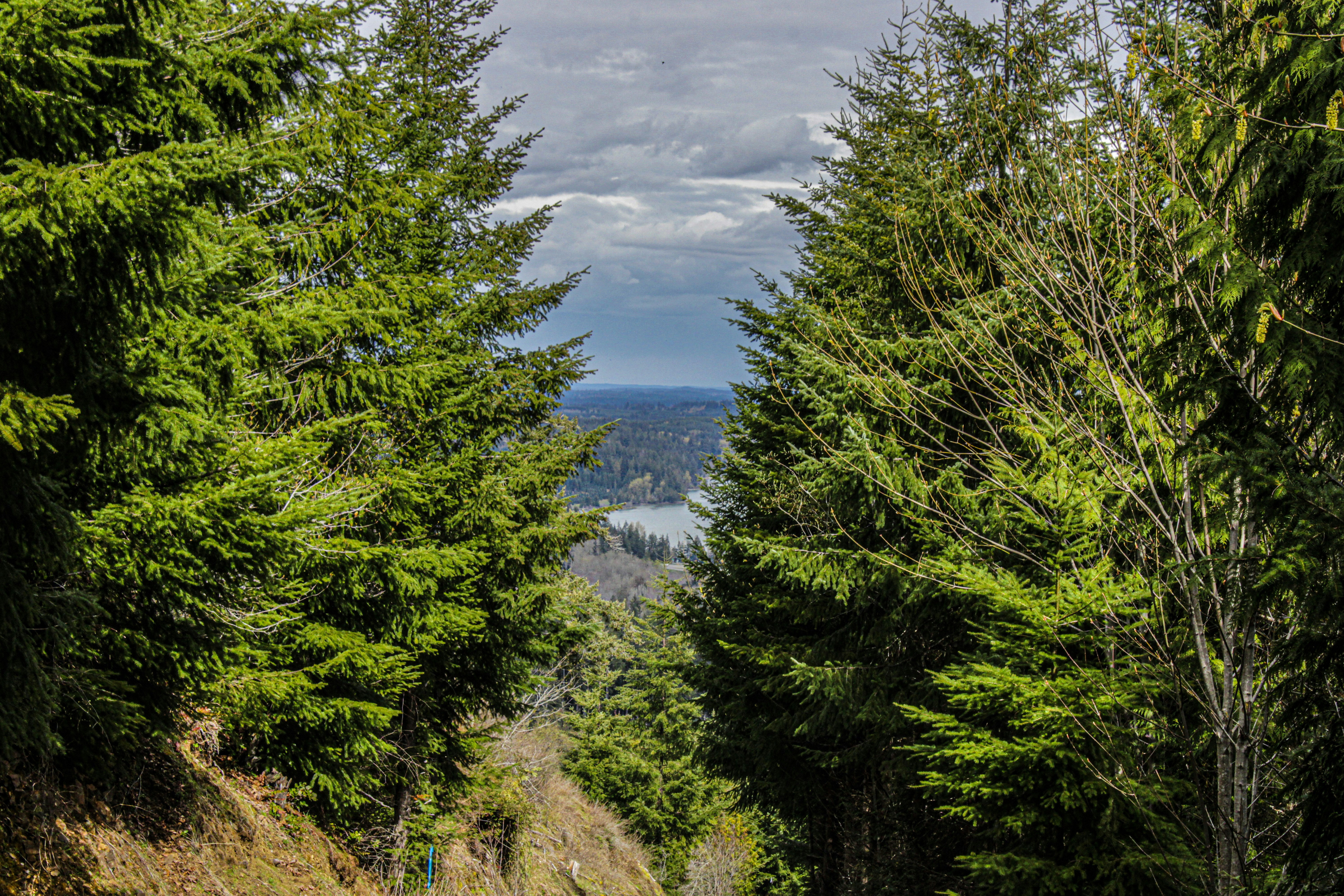 Photo by prphotography262