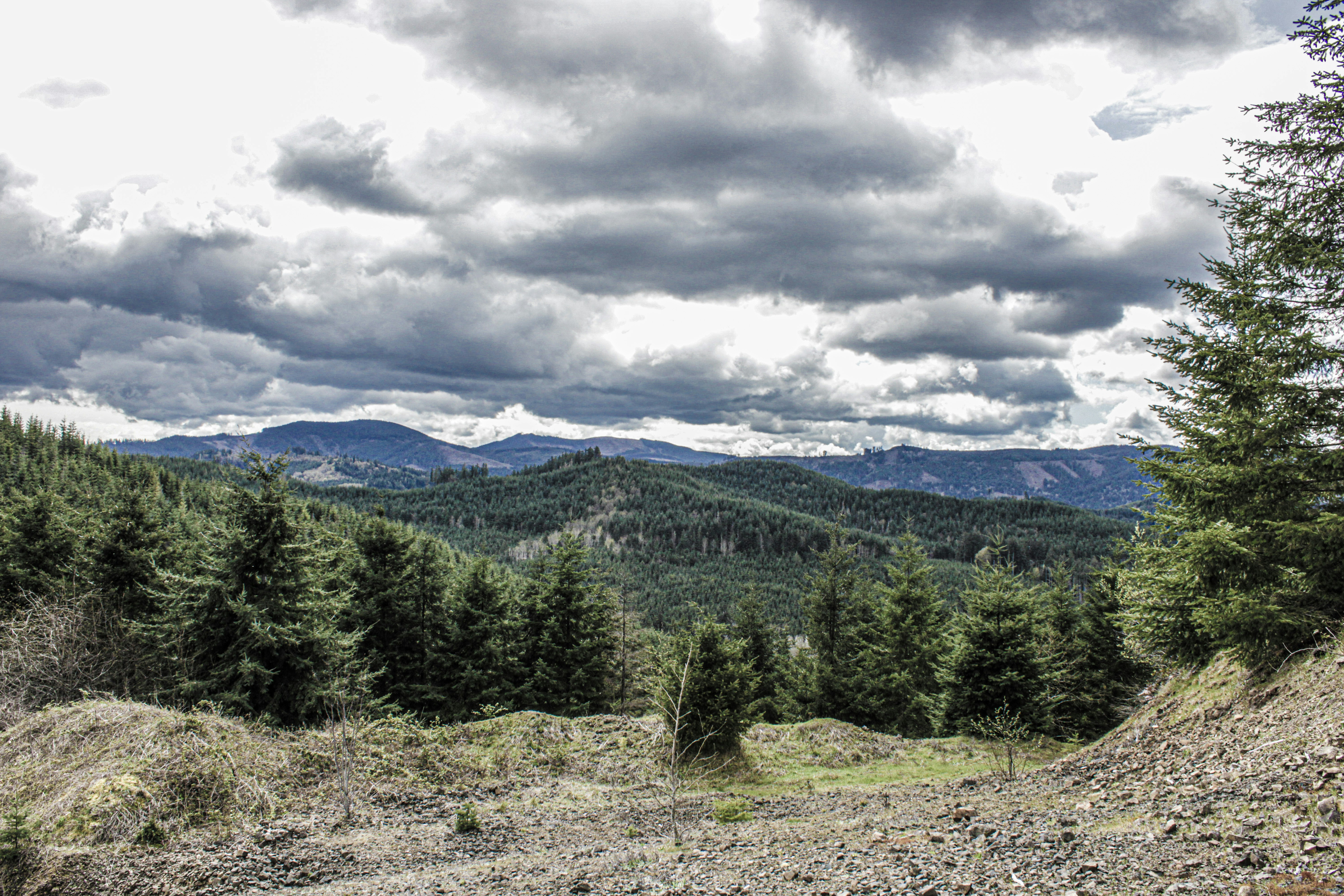 Photo by prphotography262