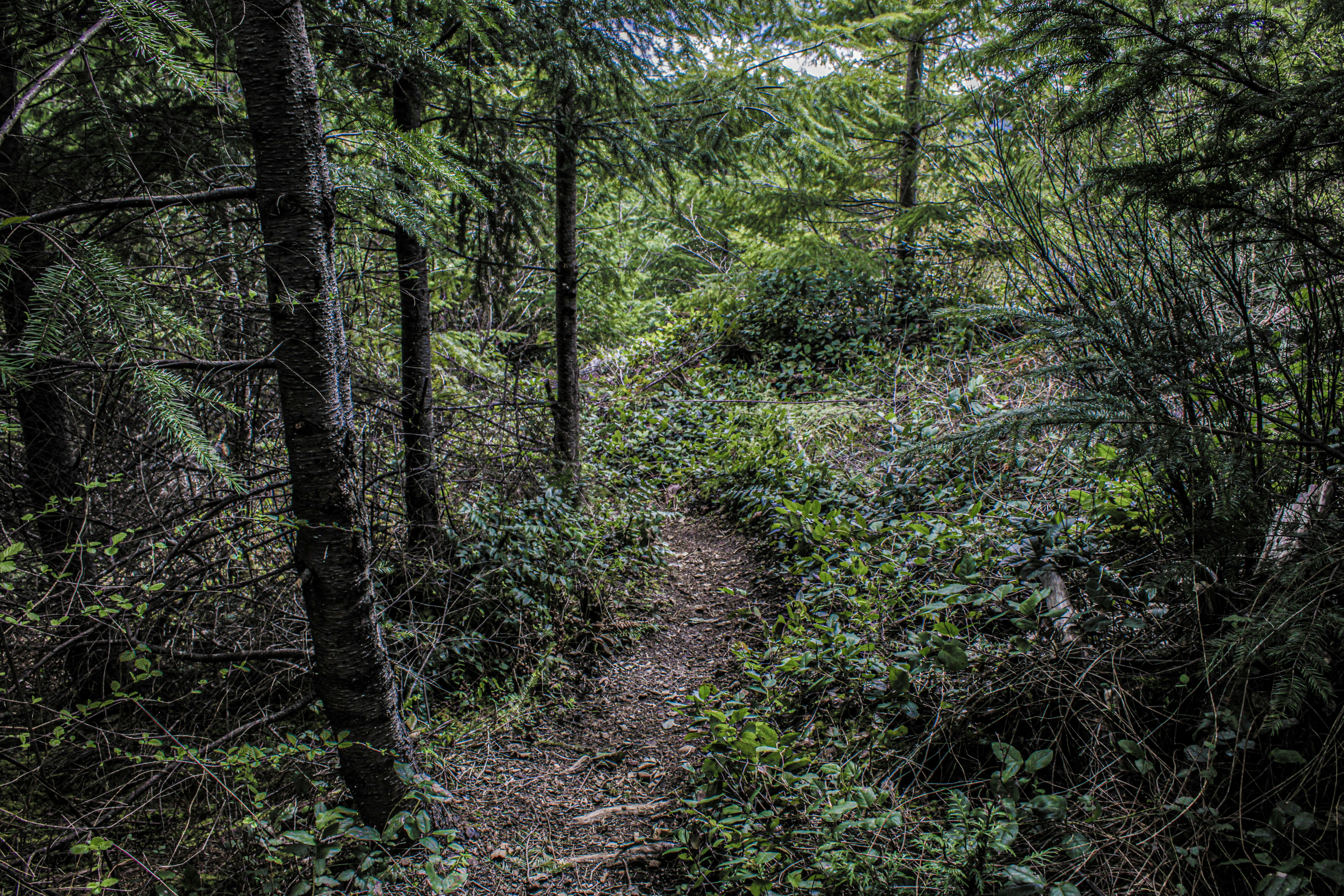 Photo by prphotography262