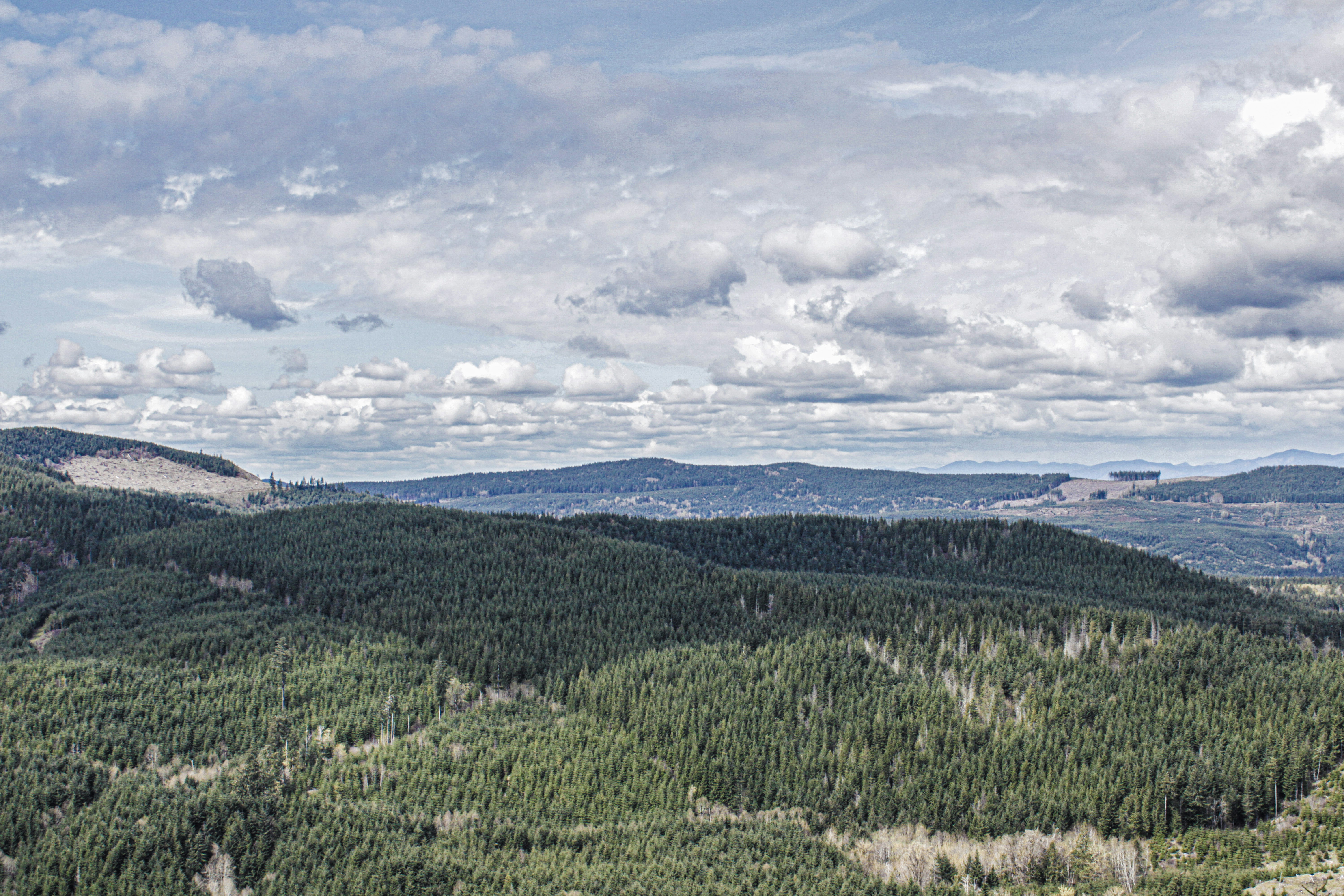 Photo by prphotography262