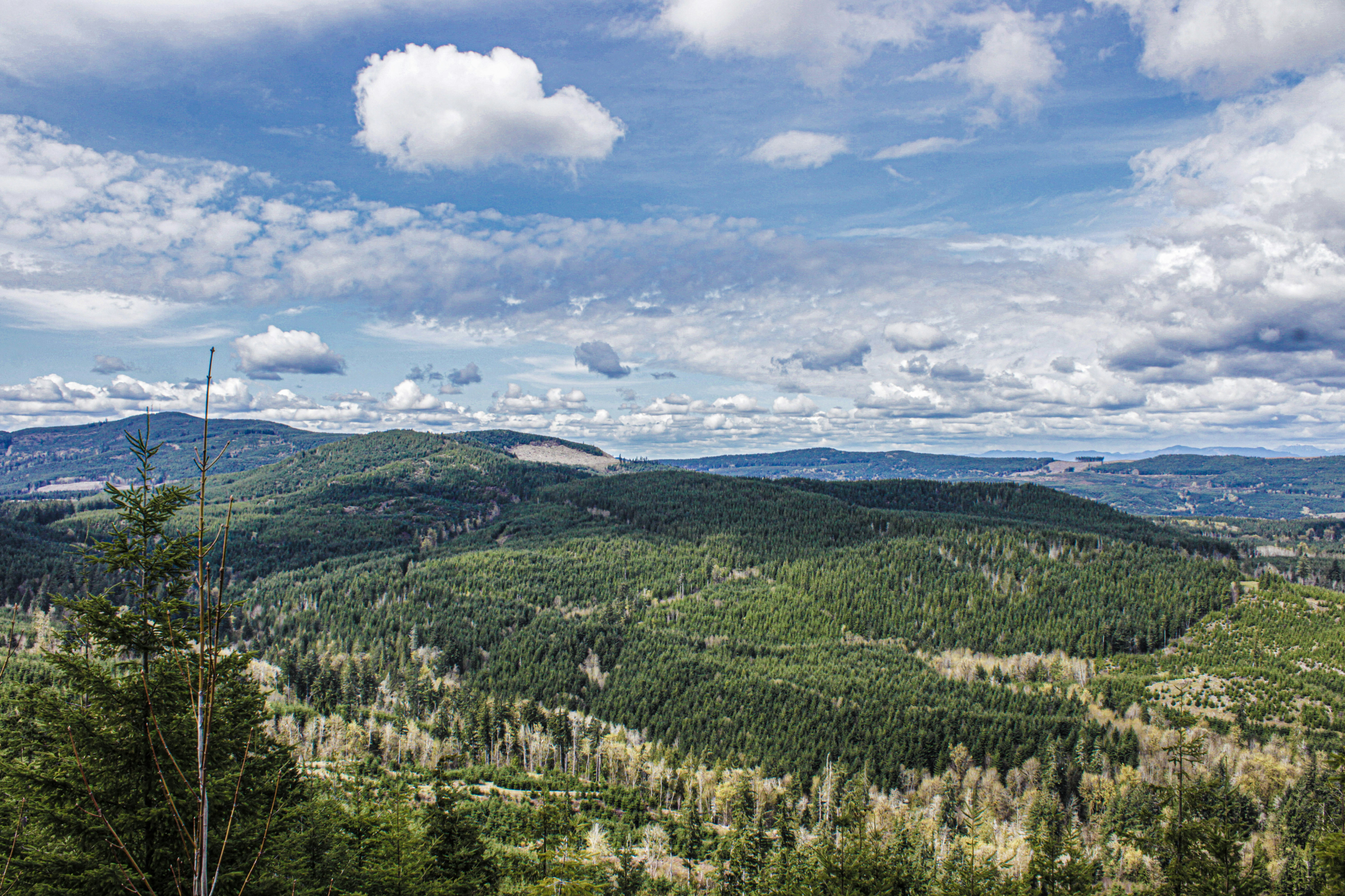 Photo by prphotography262