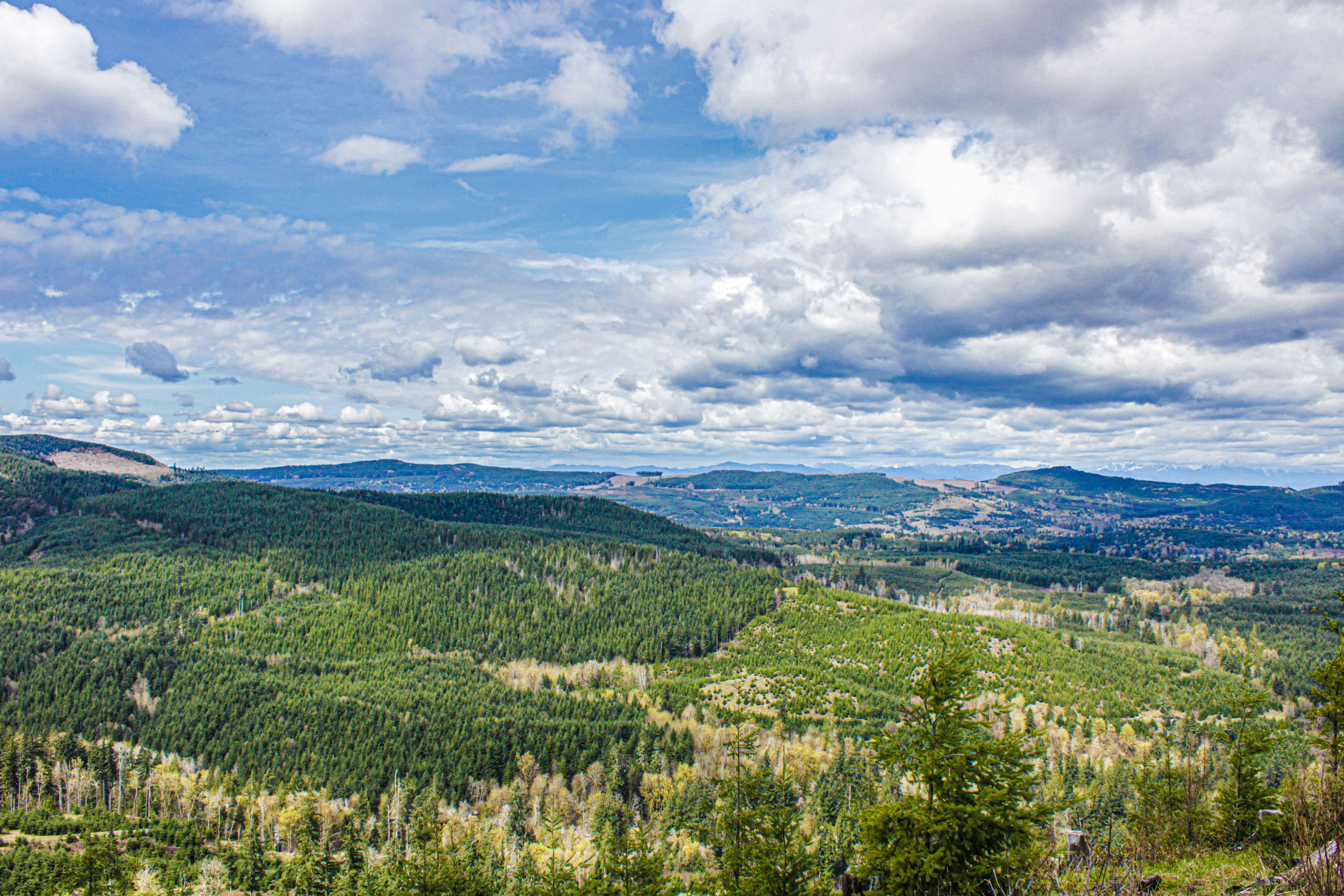 Photo by prphotography262