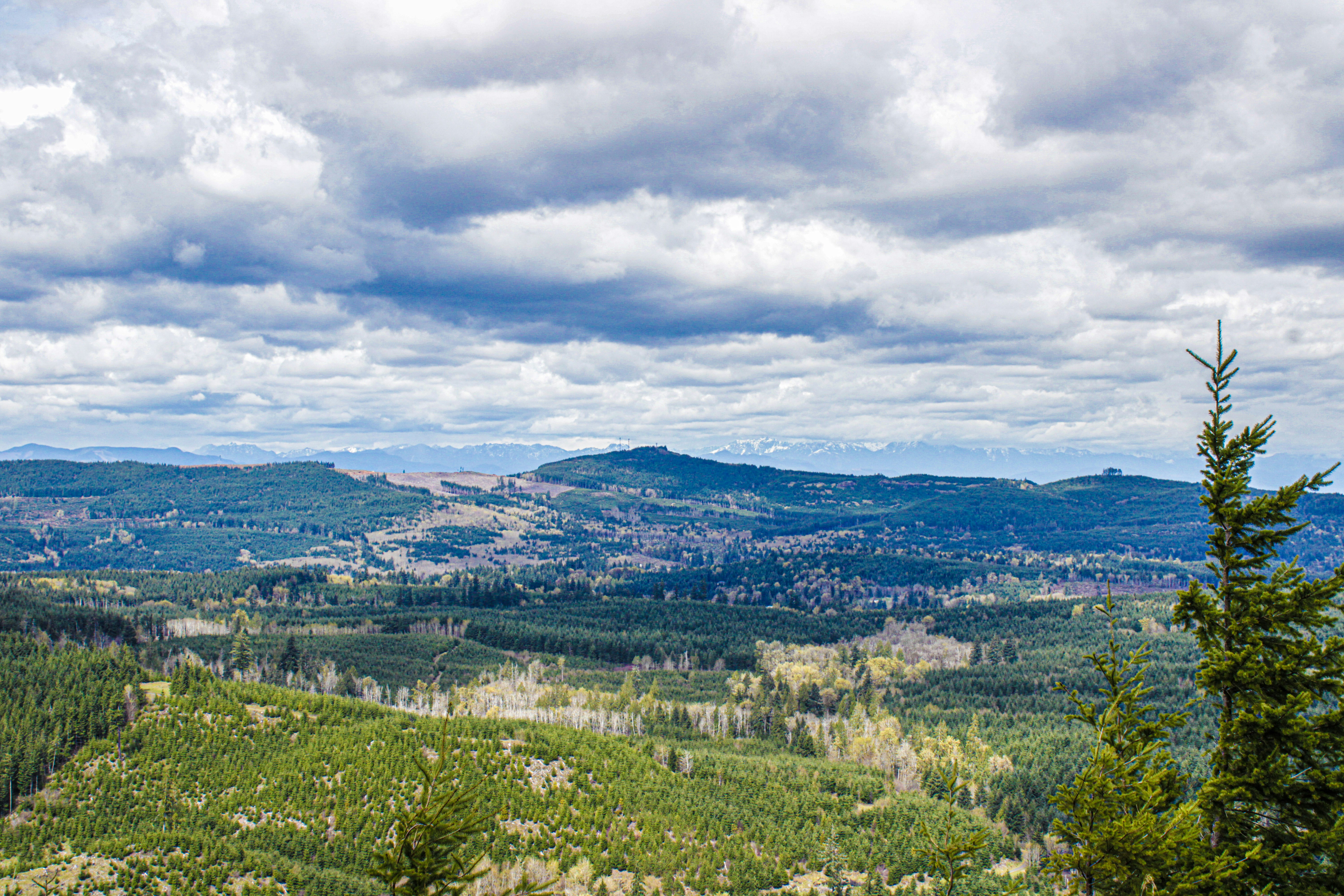 Photo by prphotography262