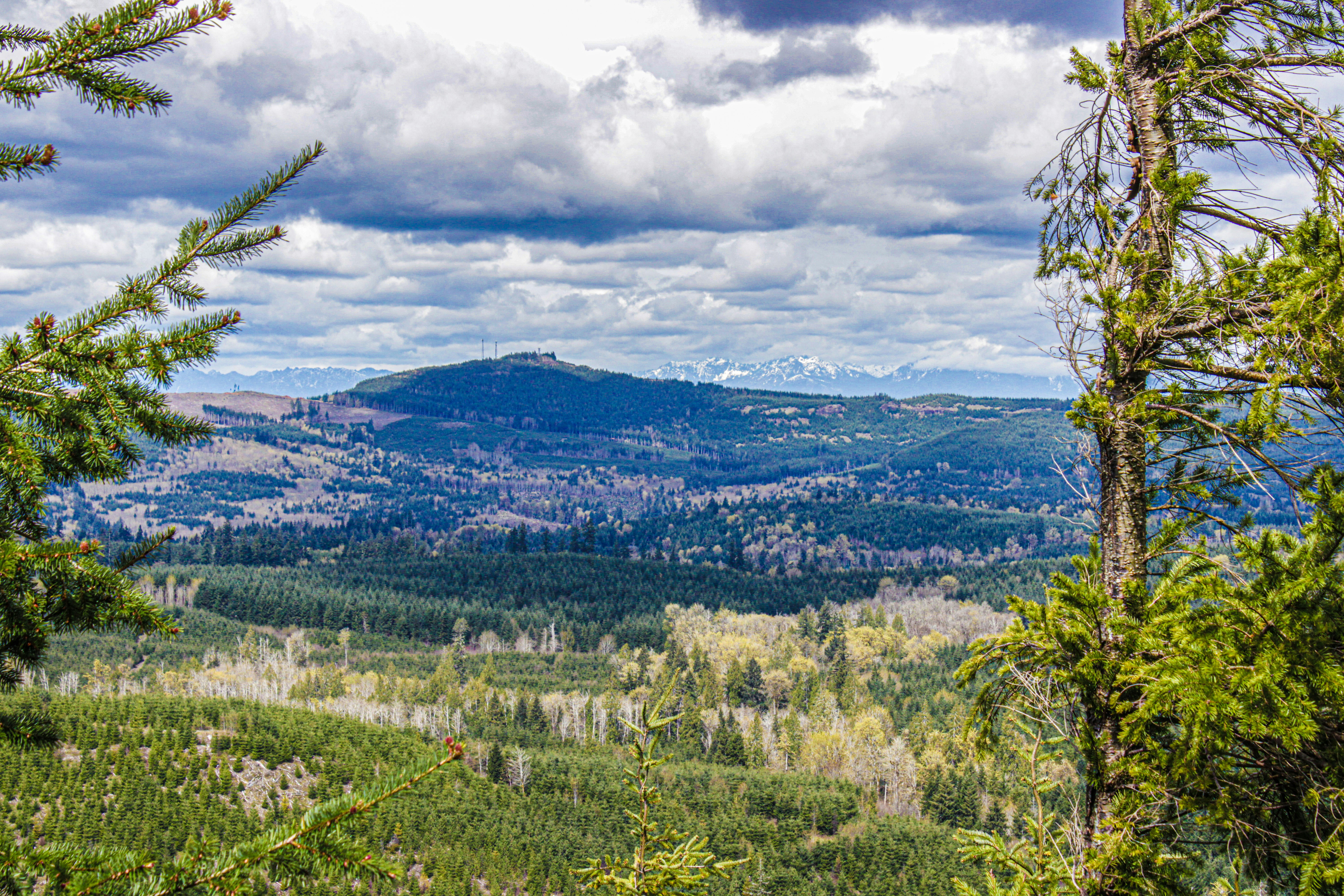 Photo by prphotography262