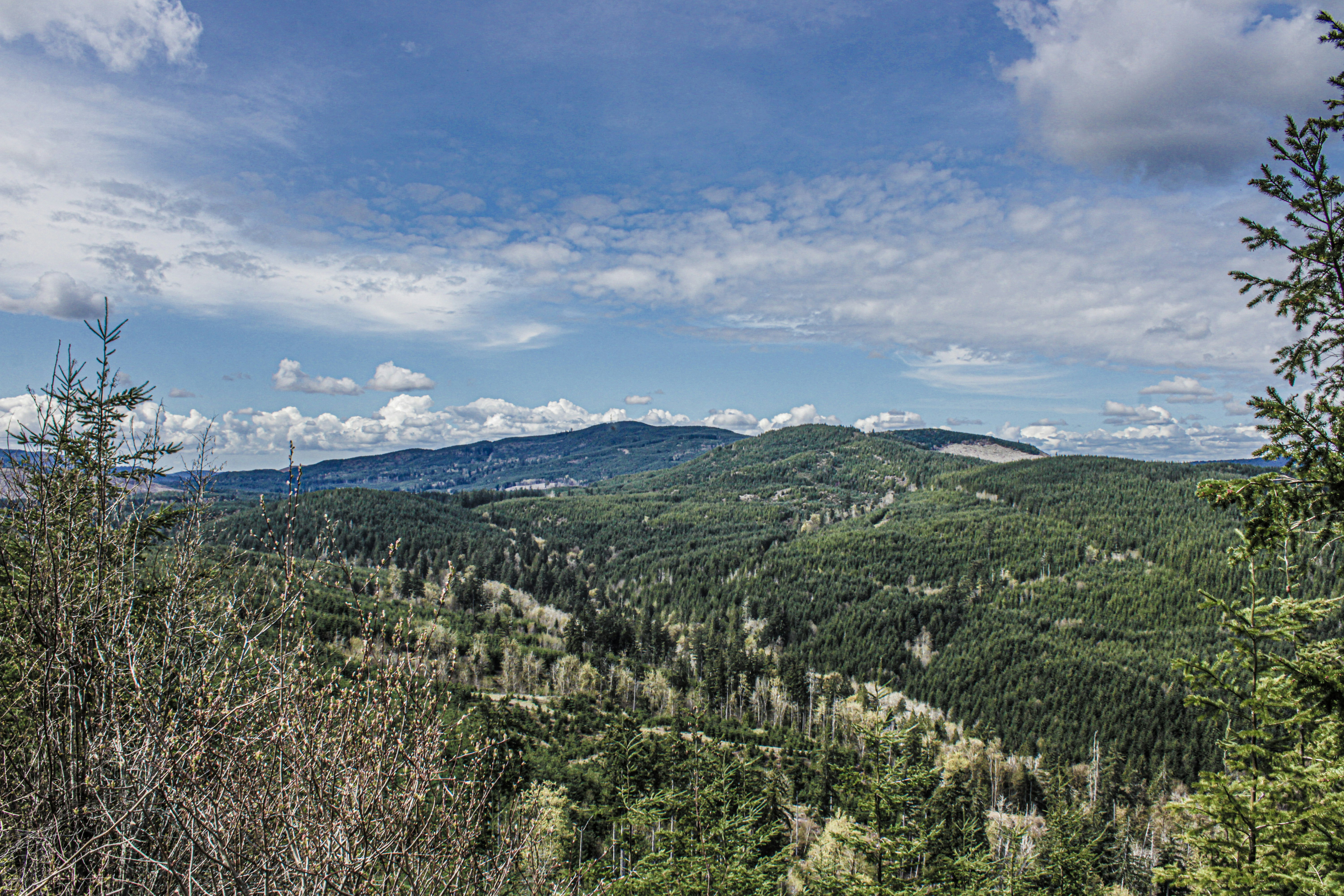 Photo by prphotography262