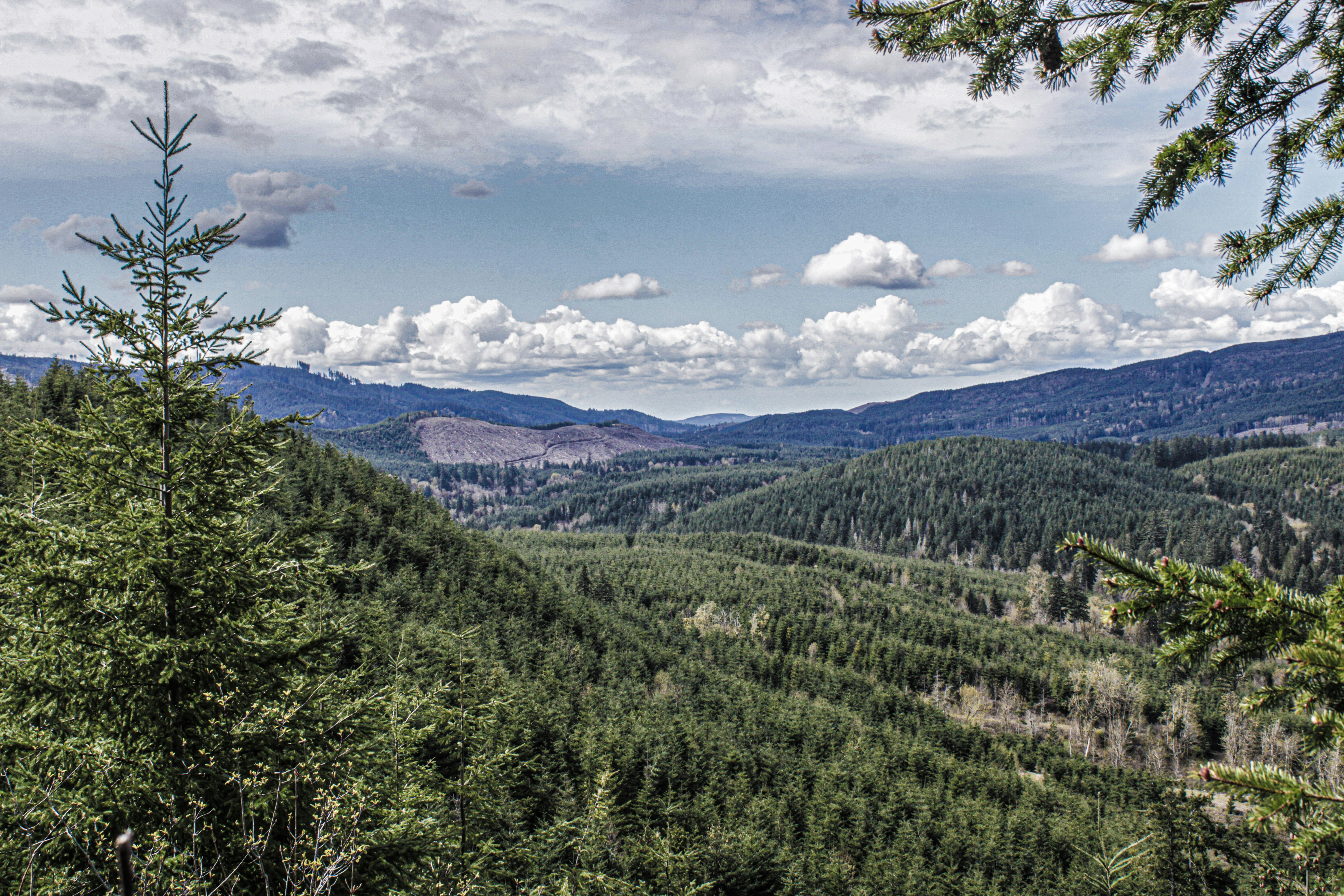 Photo by prphotography262