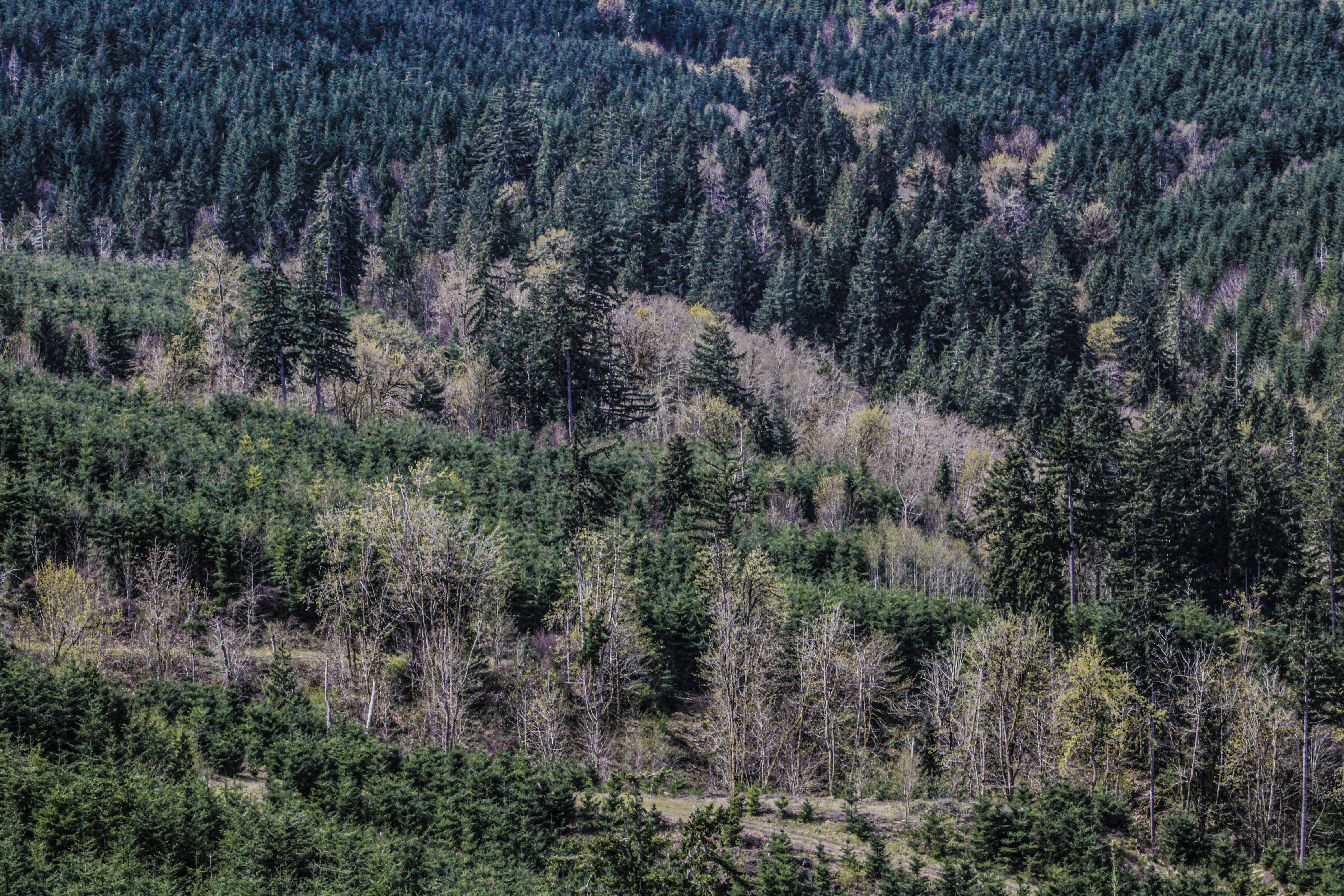 Photo by prphotography262