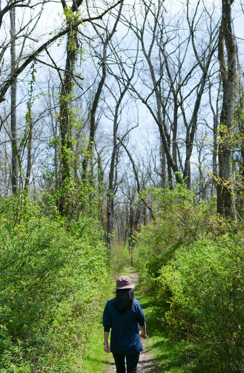 a person walking down a path in the woods