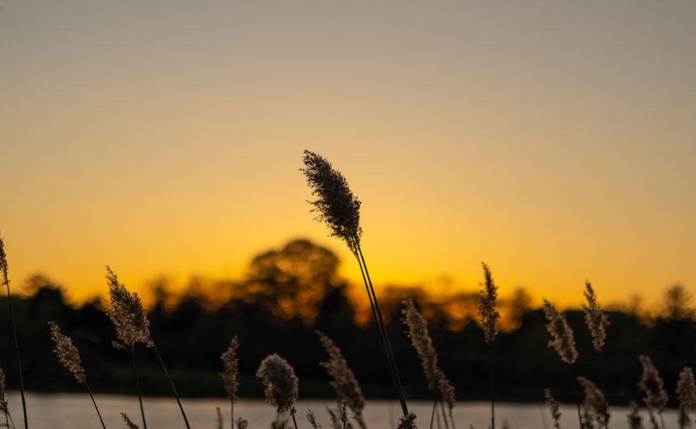 the sun is setting over a body of water