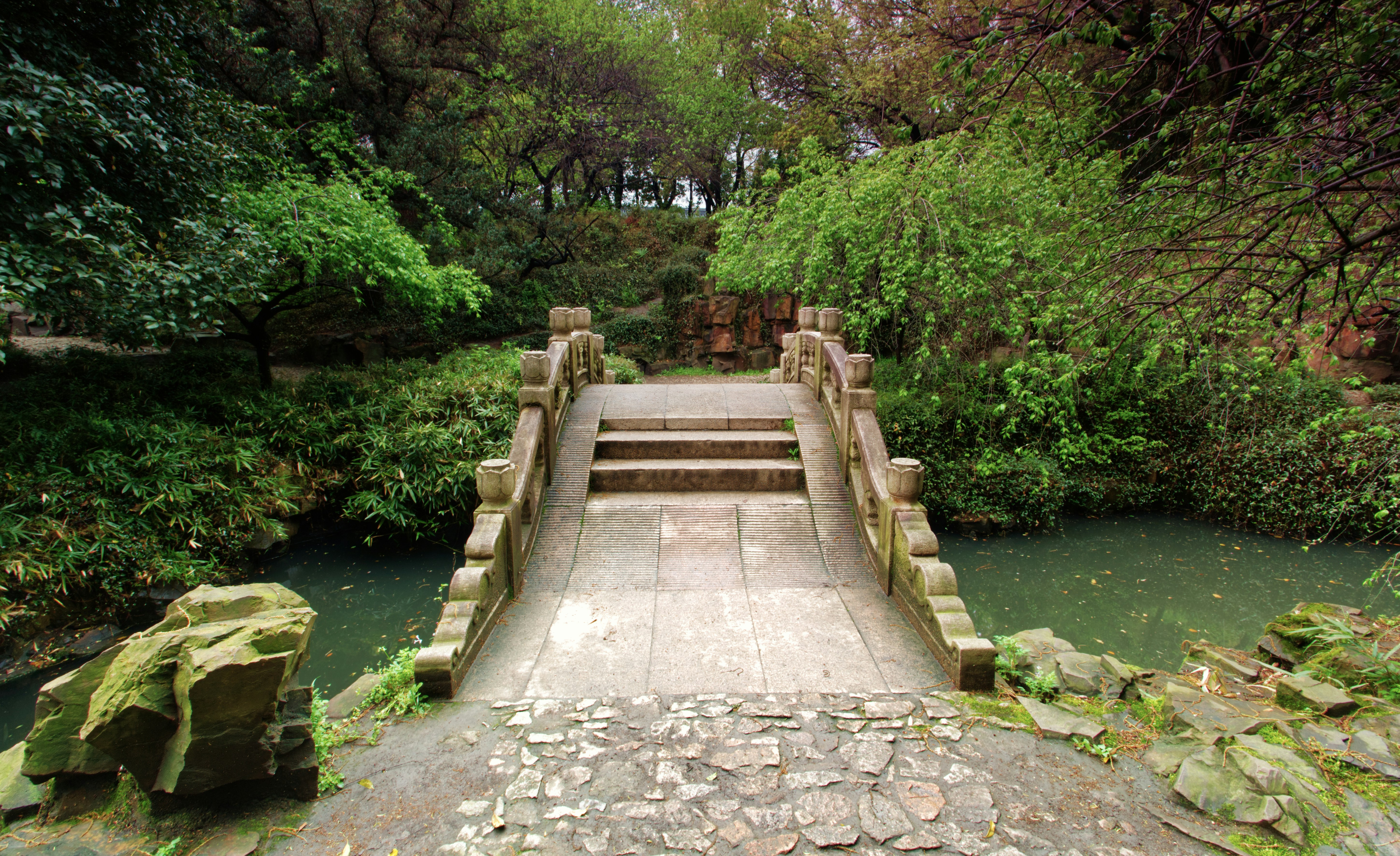 Photo by bullterriere