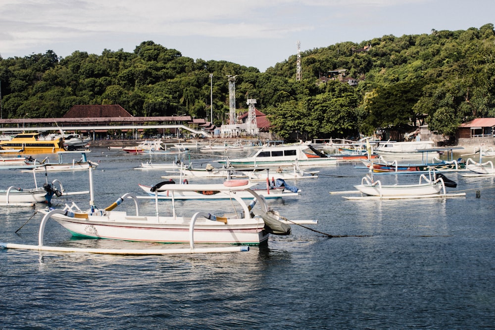 a group of boats floating on top of a lake