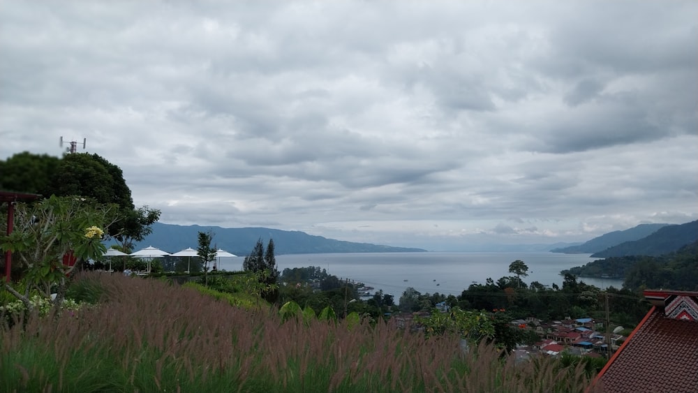 a view of a body of water from a hill