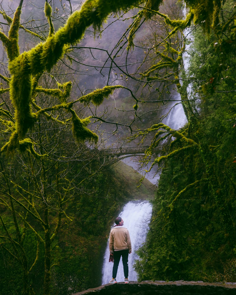 a person standing on a rock in front of a waterfall