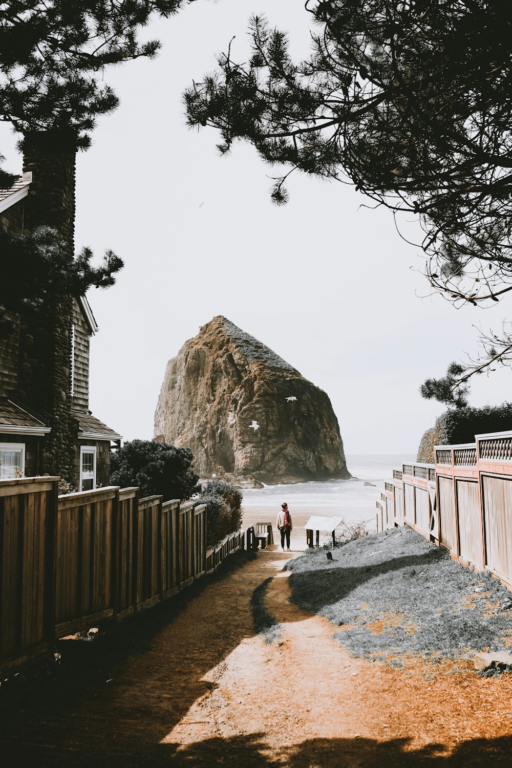 a couple of people walking down a path next to a beach