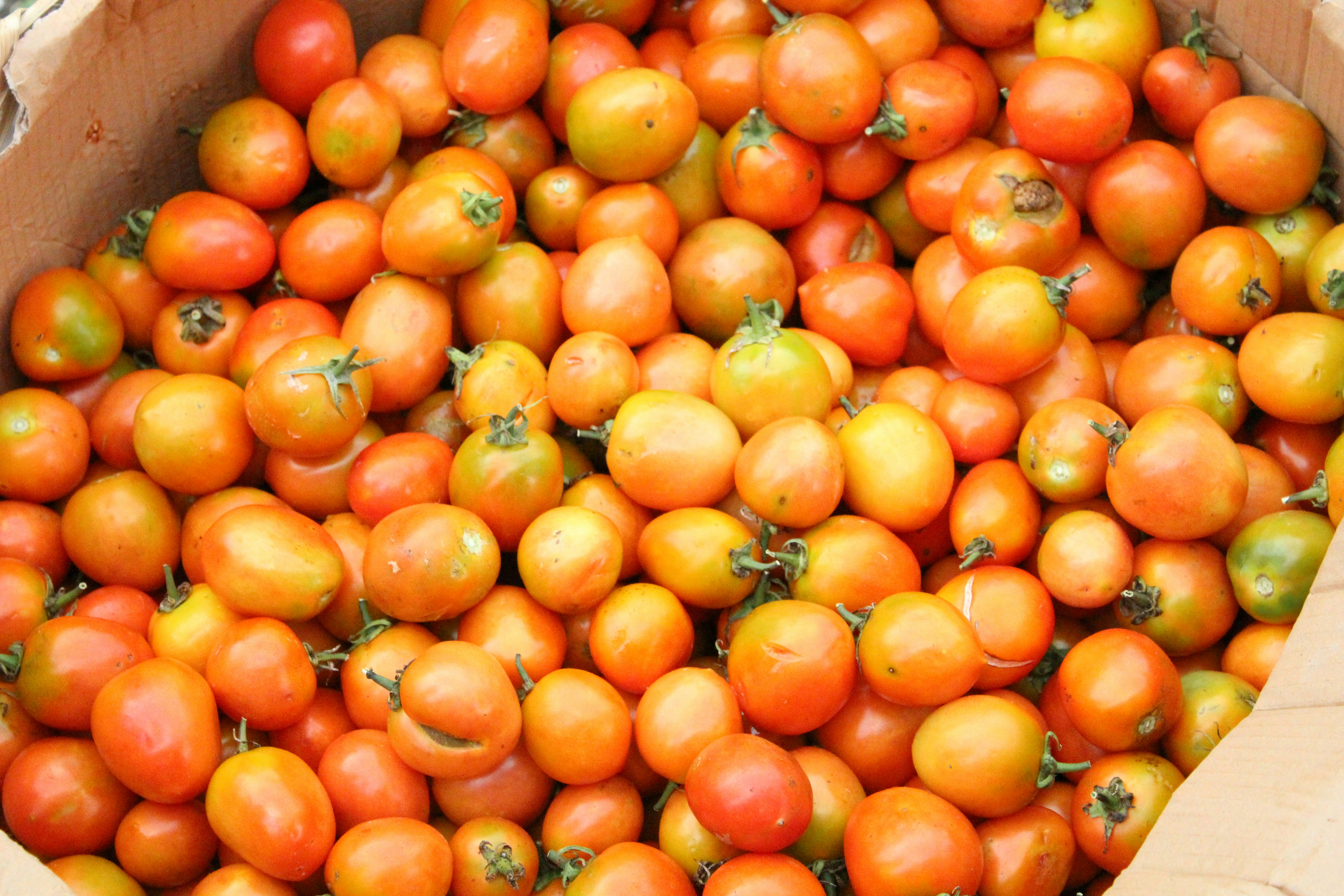 Photo by ayuanistiari