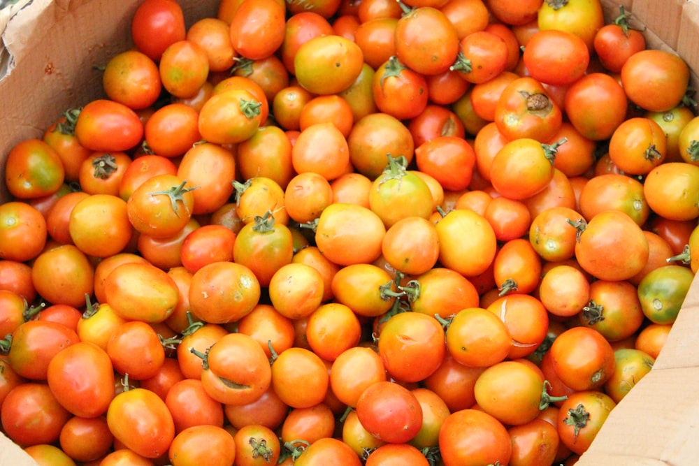 a cardboard box filled with lots of tomatoes