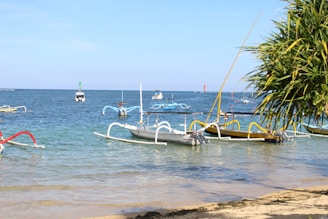 a group of boats floating on top of a body of water