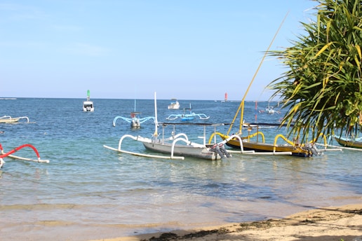 a group of boats floating on top of a body of water