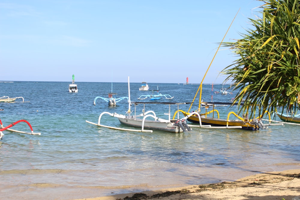 a group of boats floating on top of a body of water