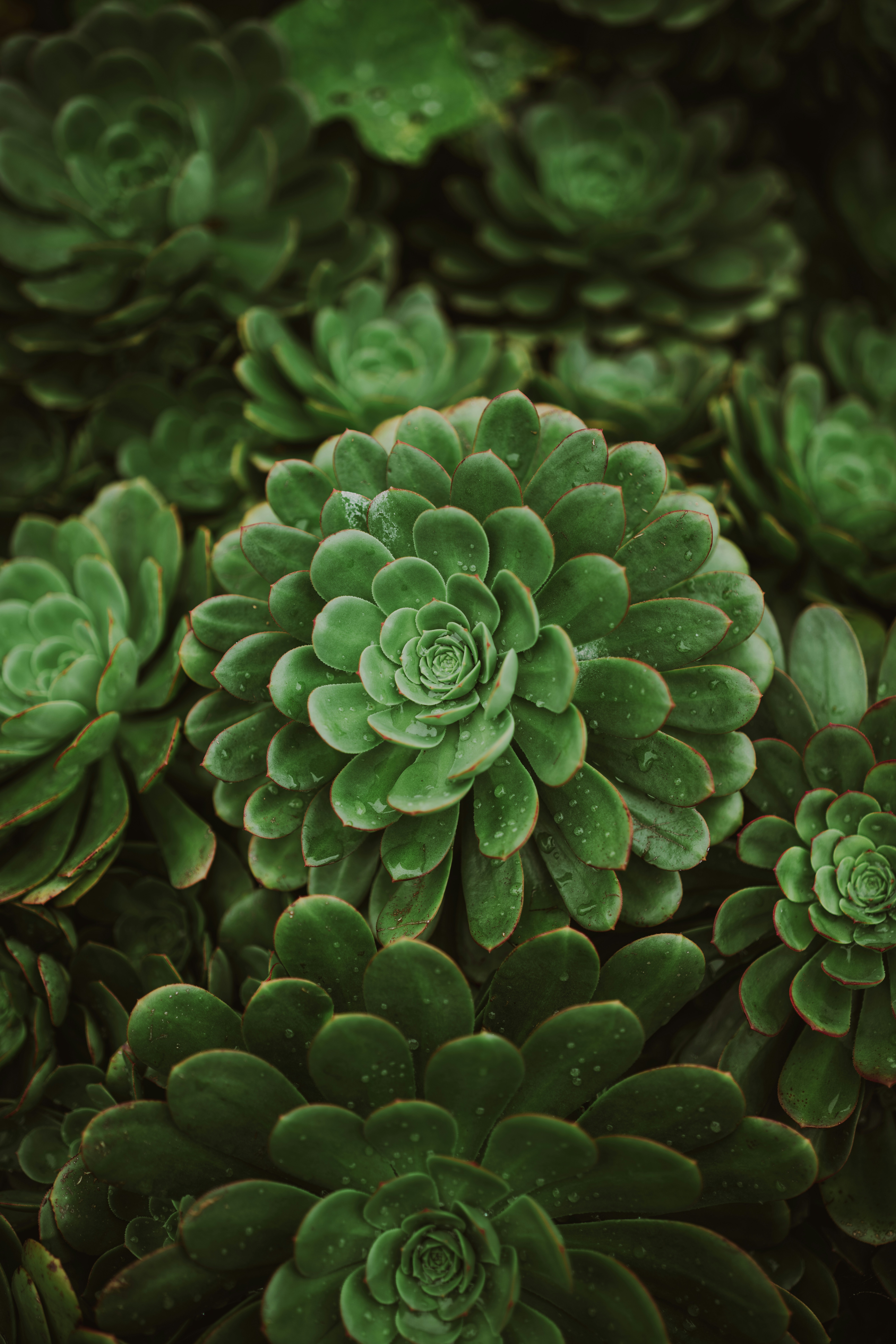 Photo by dimadallacqua