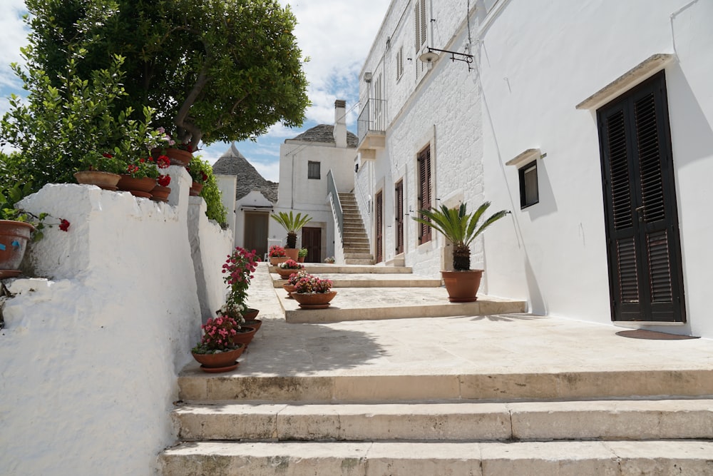 a set of steps leading up to a building