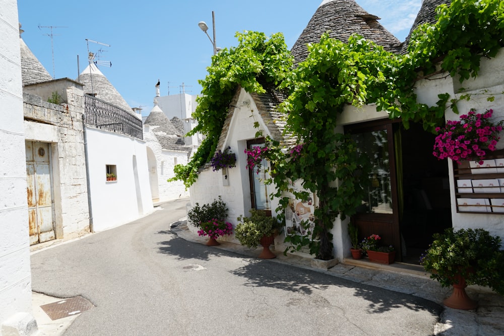 a street lined with potted plants next to white buildings