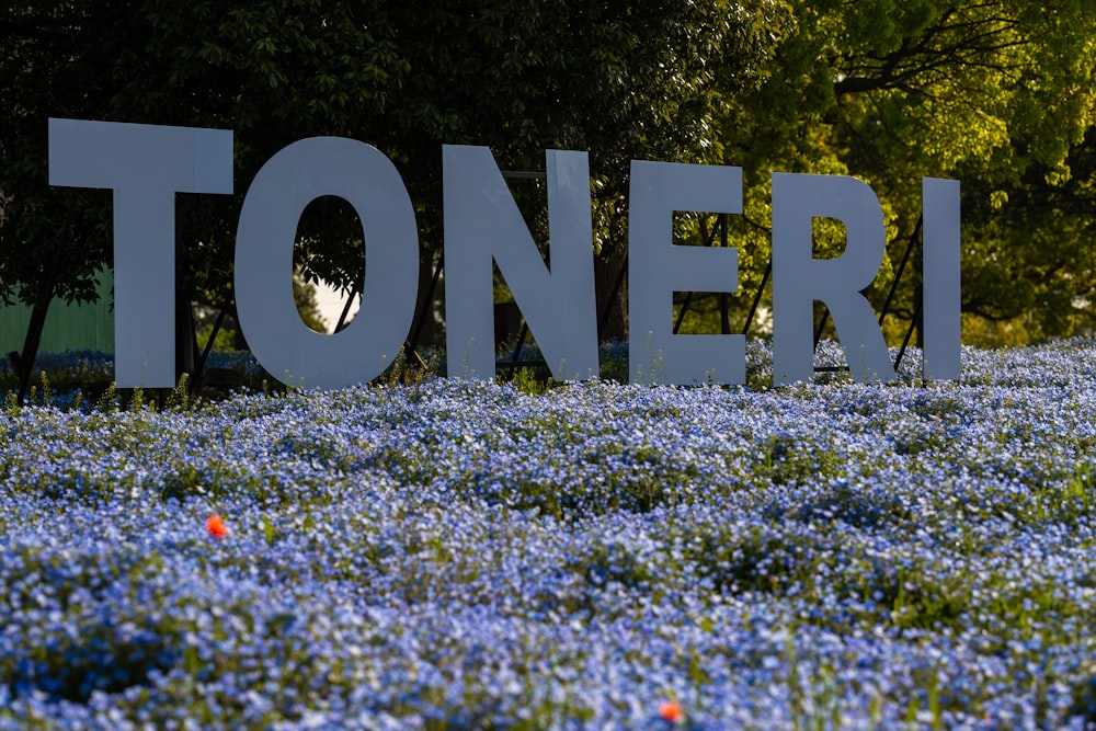 a field of blue flowers with a large sign in the middle of it